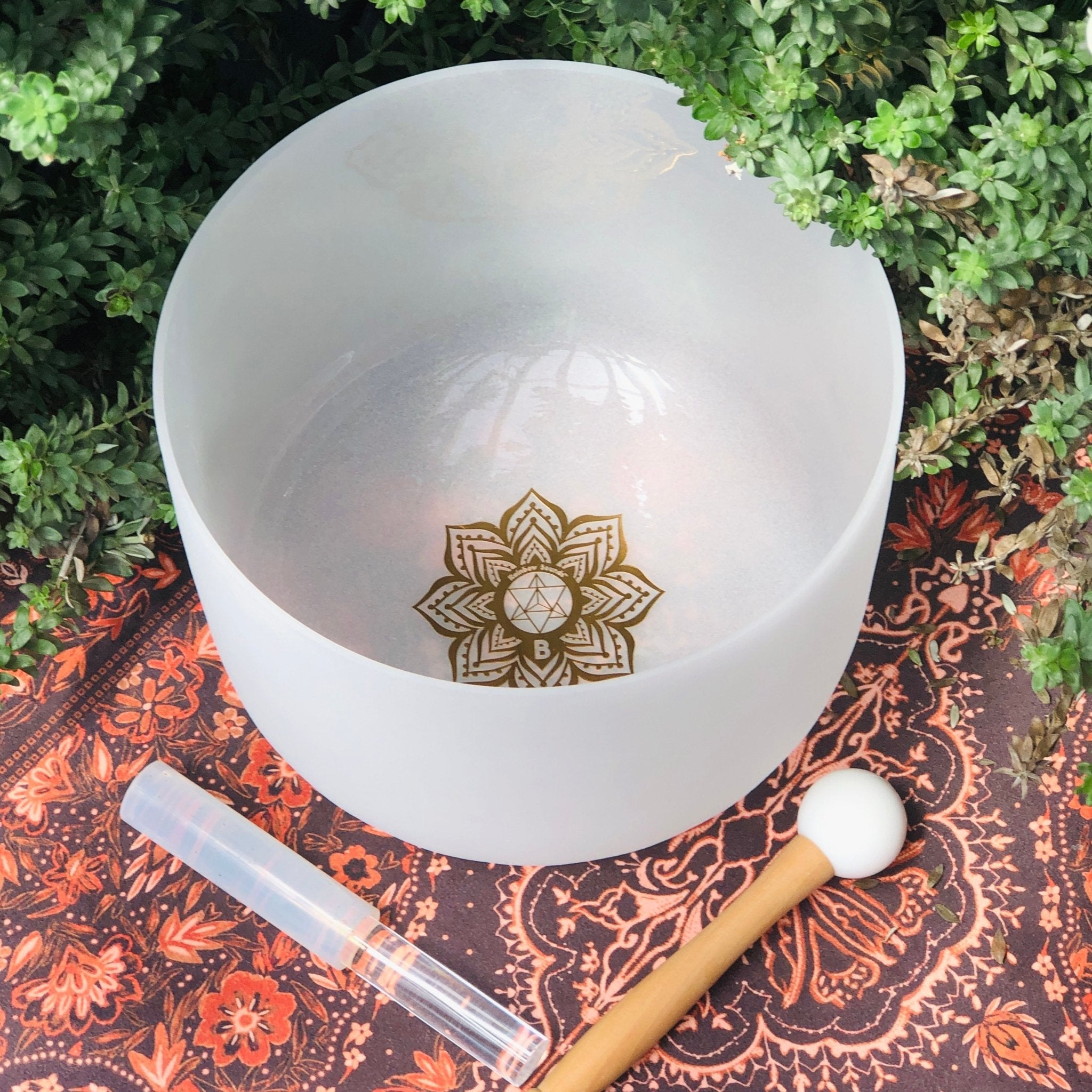 Rainbow Sounds USA Earth & Soul Stars︱Set of 2 Sound Therapy Bowls in Beige Carry Case