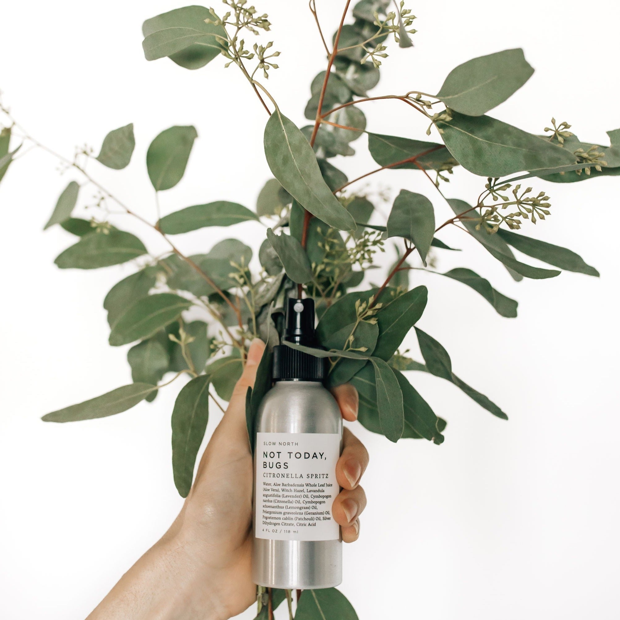 Slow North Not Today, Bugs - Bug Spray