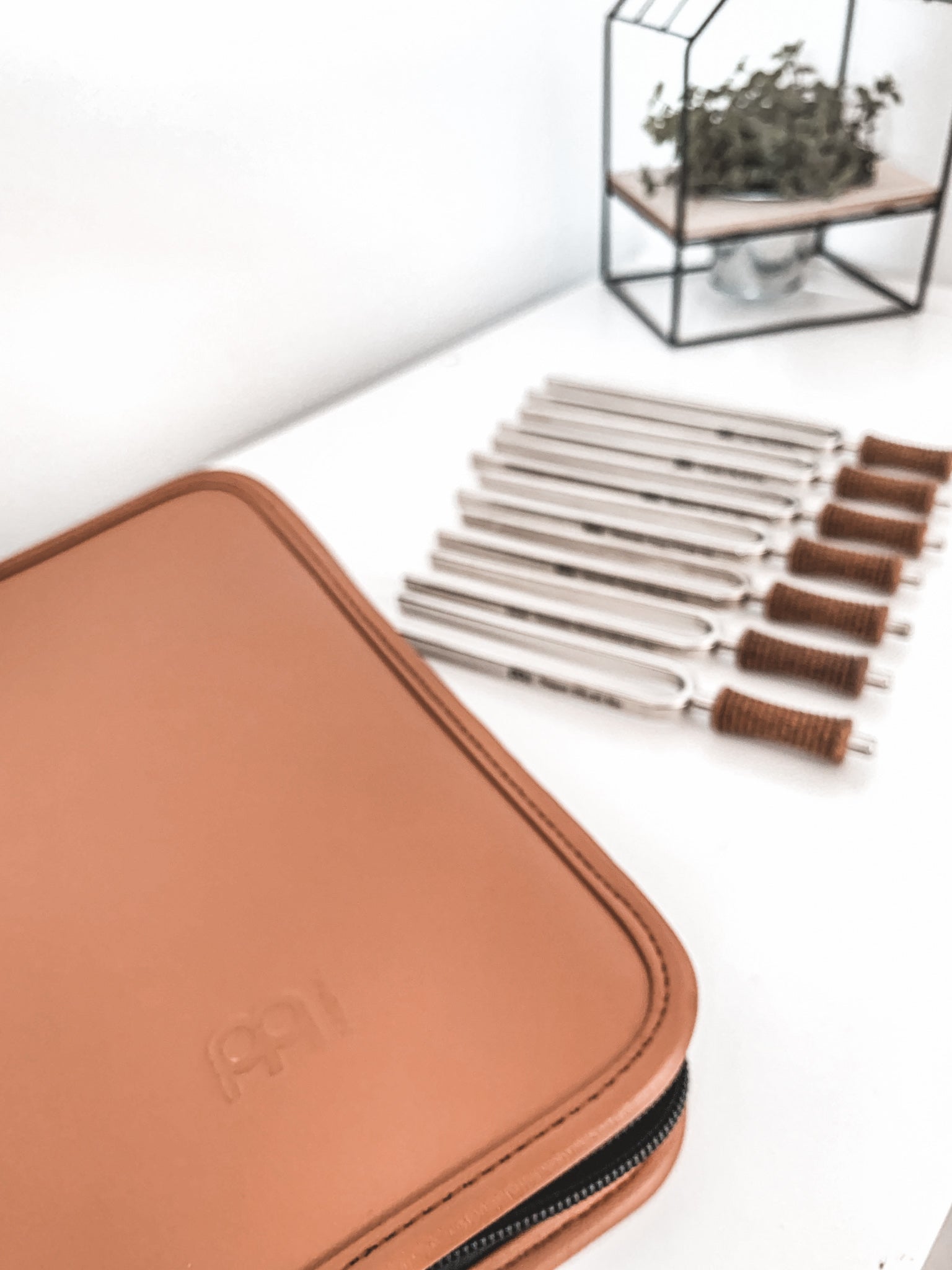 Sound Healing LAB 7 Chakra Healing Tuning Fork Set with Travel Case