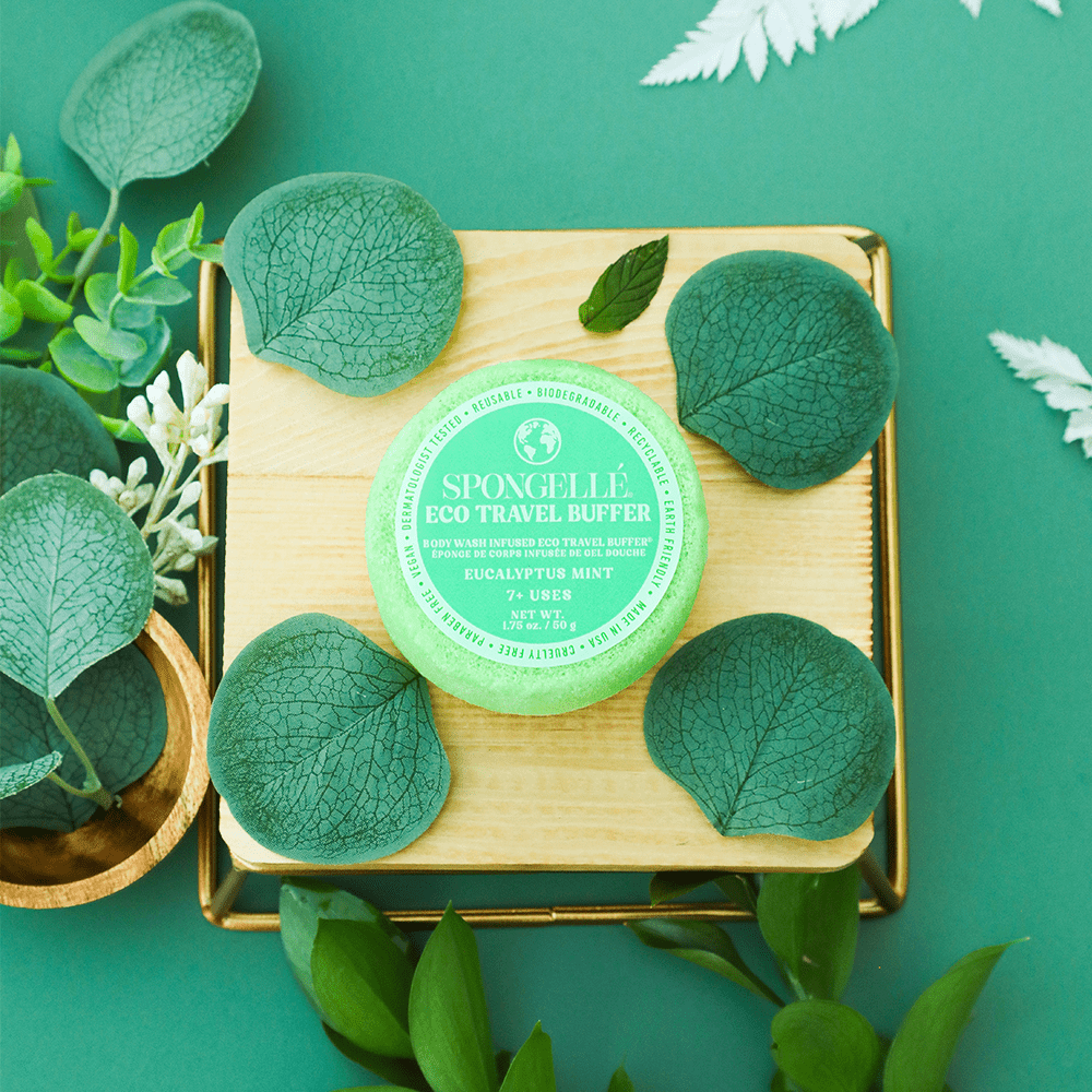 Spongellé Eucalyptus Mint | Eco Travel Buffer