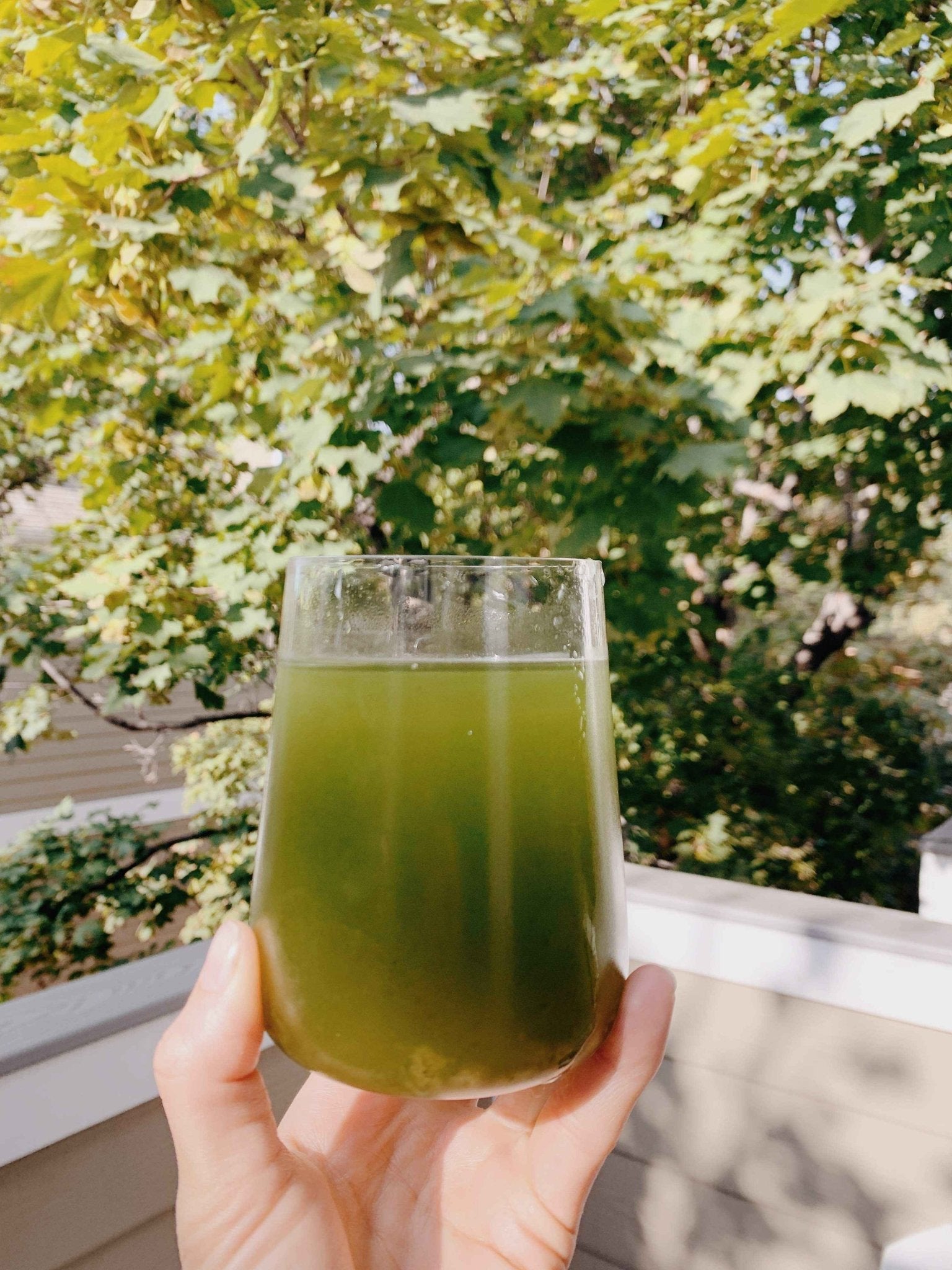 Sun Potion Chlorella Powder (Sound Processed)
