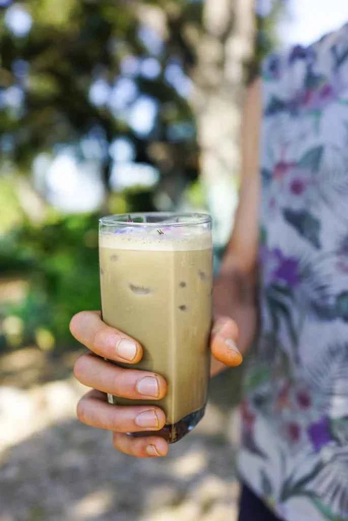 Sun Potion Cordyceps Mushroom Powder (Organic)