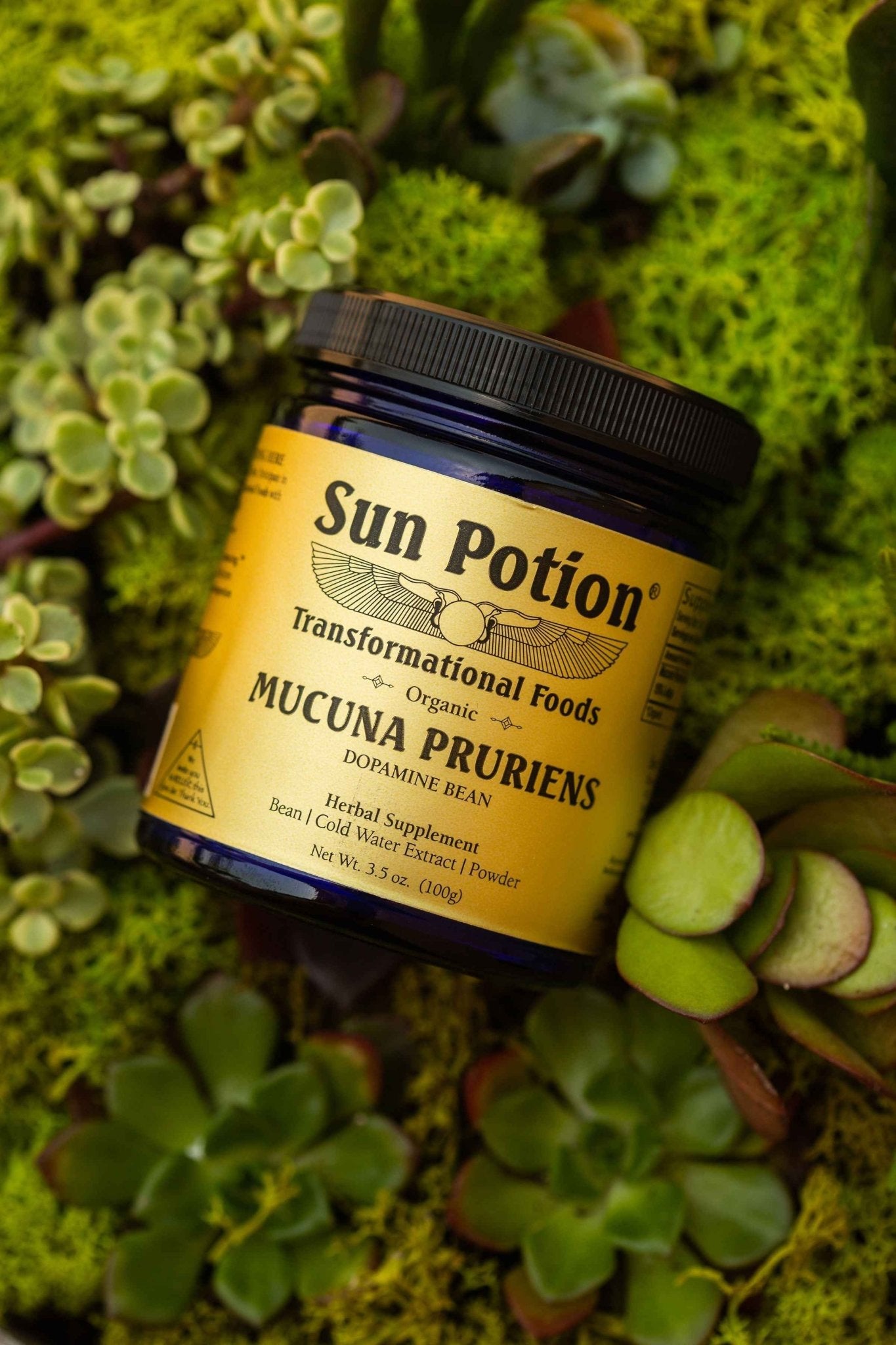 Sun Potion Mucuna Pruriens Powder (Organic)