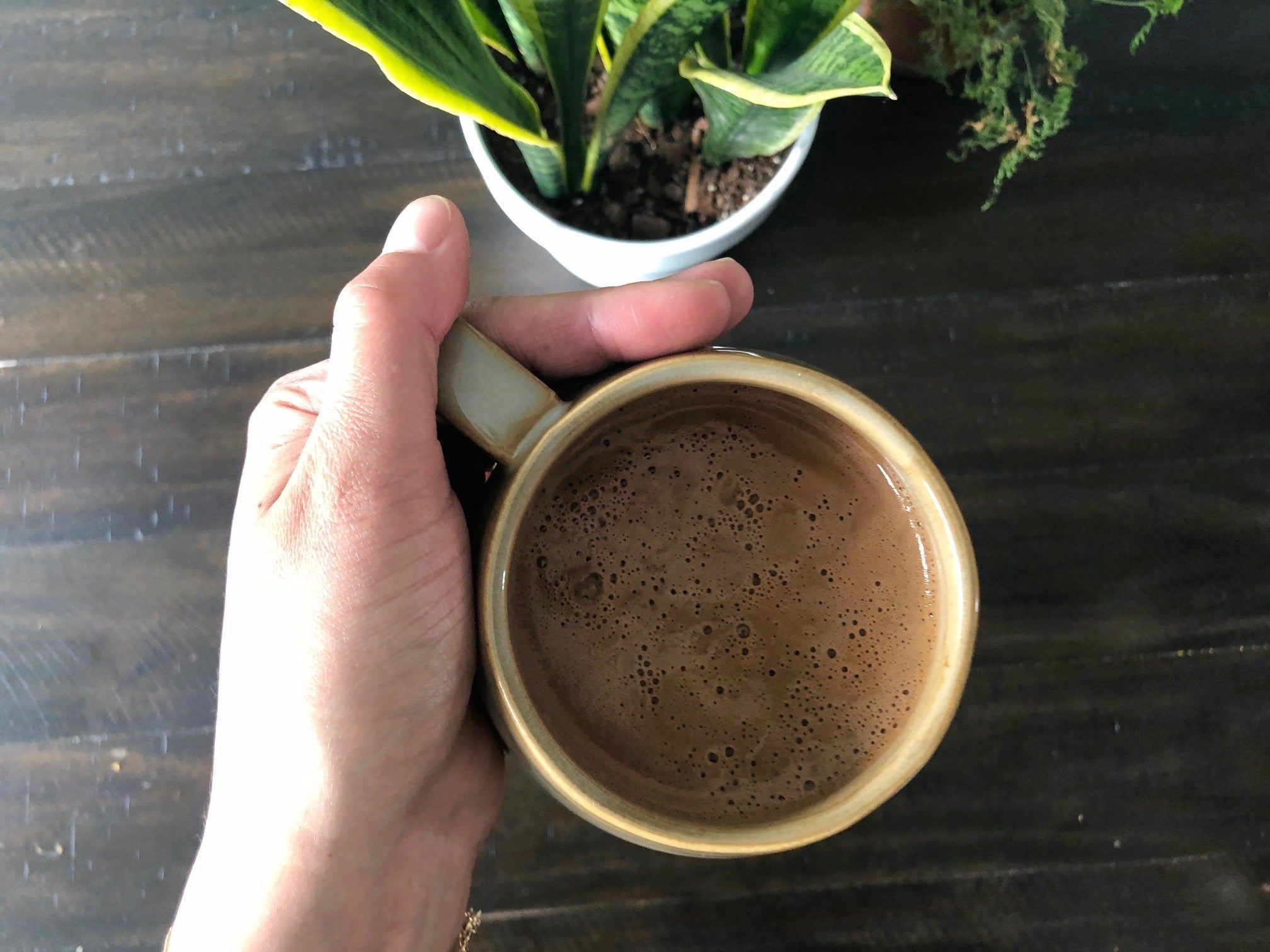 Sun Potion Triphala (Cold Water Extract Powder)