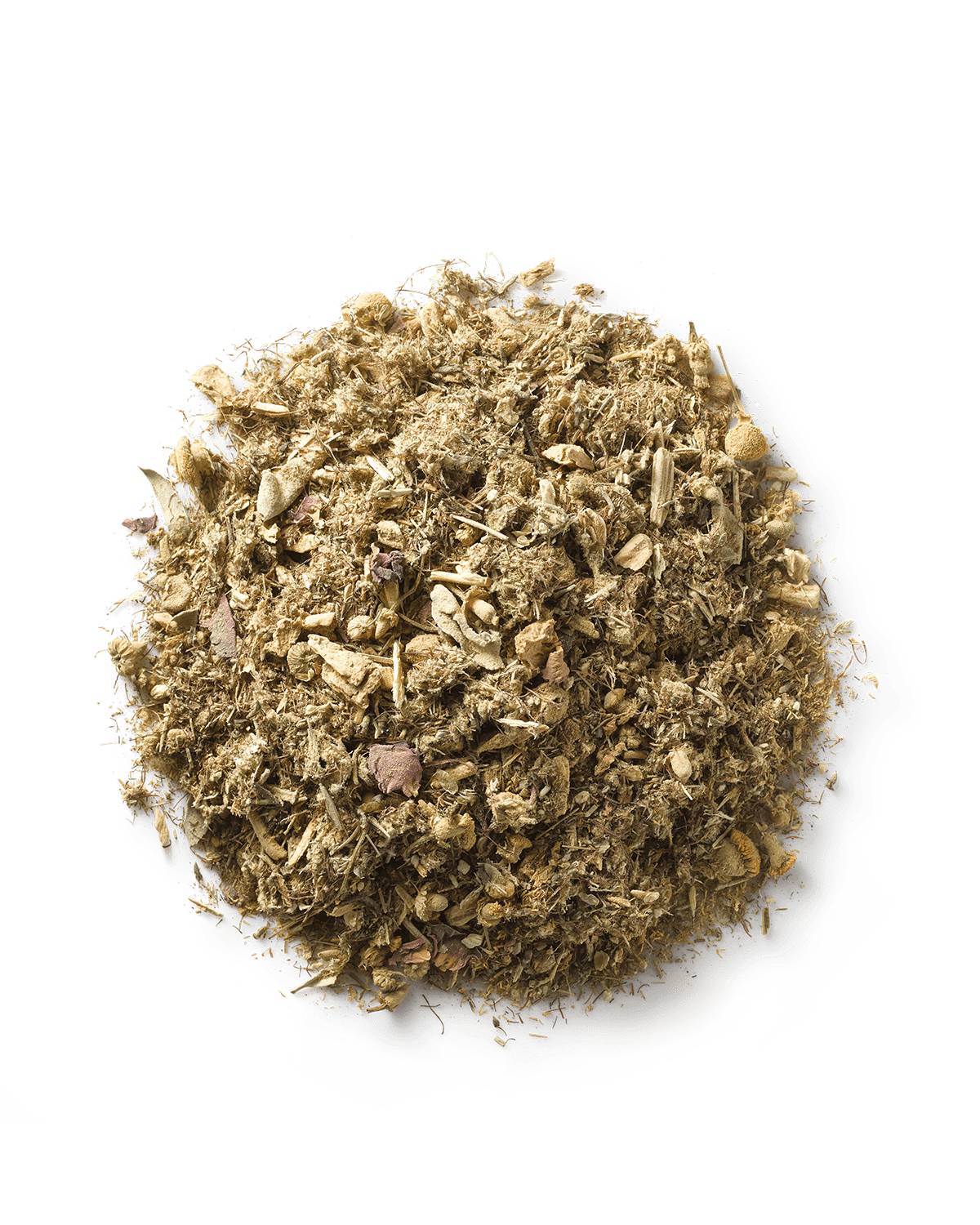 Surya (y)oni Reset Steam