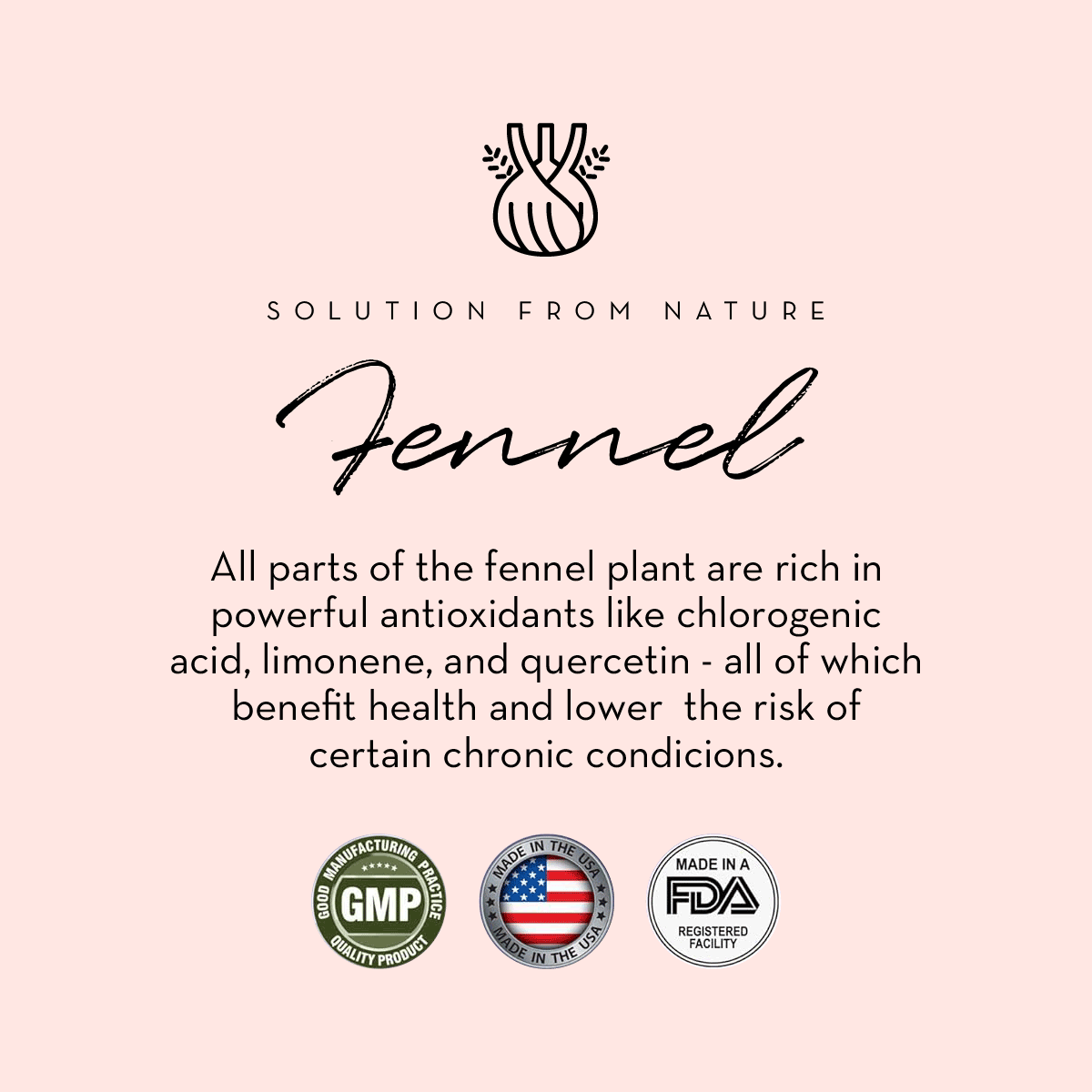 The Spoiled Mama Lactation Support Supplement - Increase Milk Supply