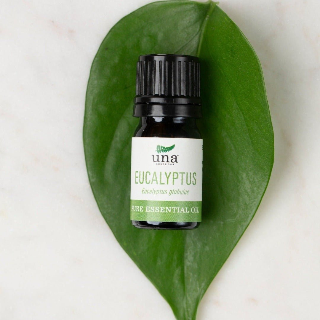Una Biologicals® Eucalyptus Essential Oil | Pure Essential Oil | Una Biologicals