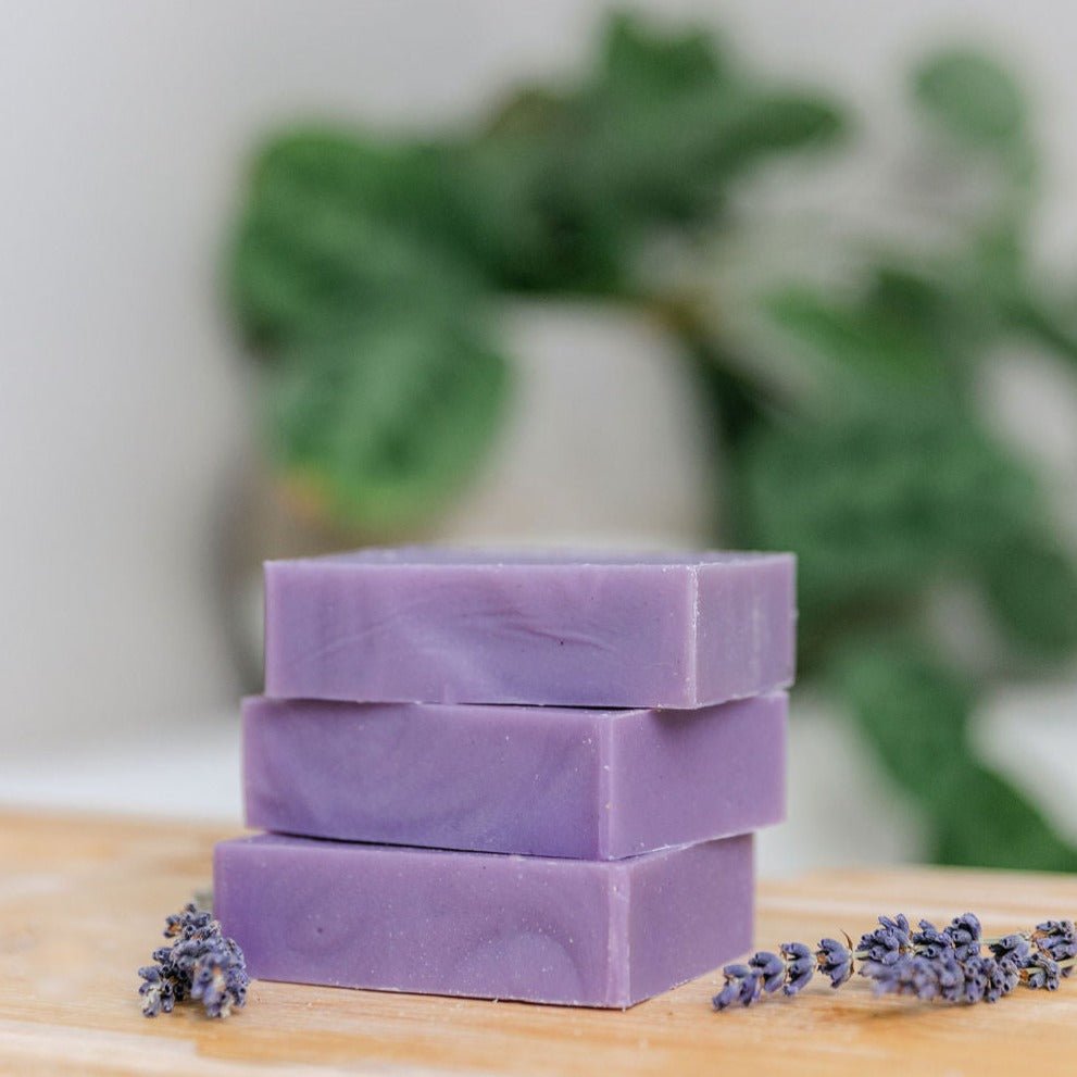 Una Biologicals® Lavender Shave Soap | Natural Soap | Una Biologicals