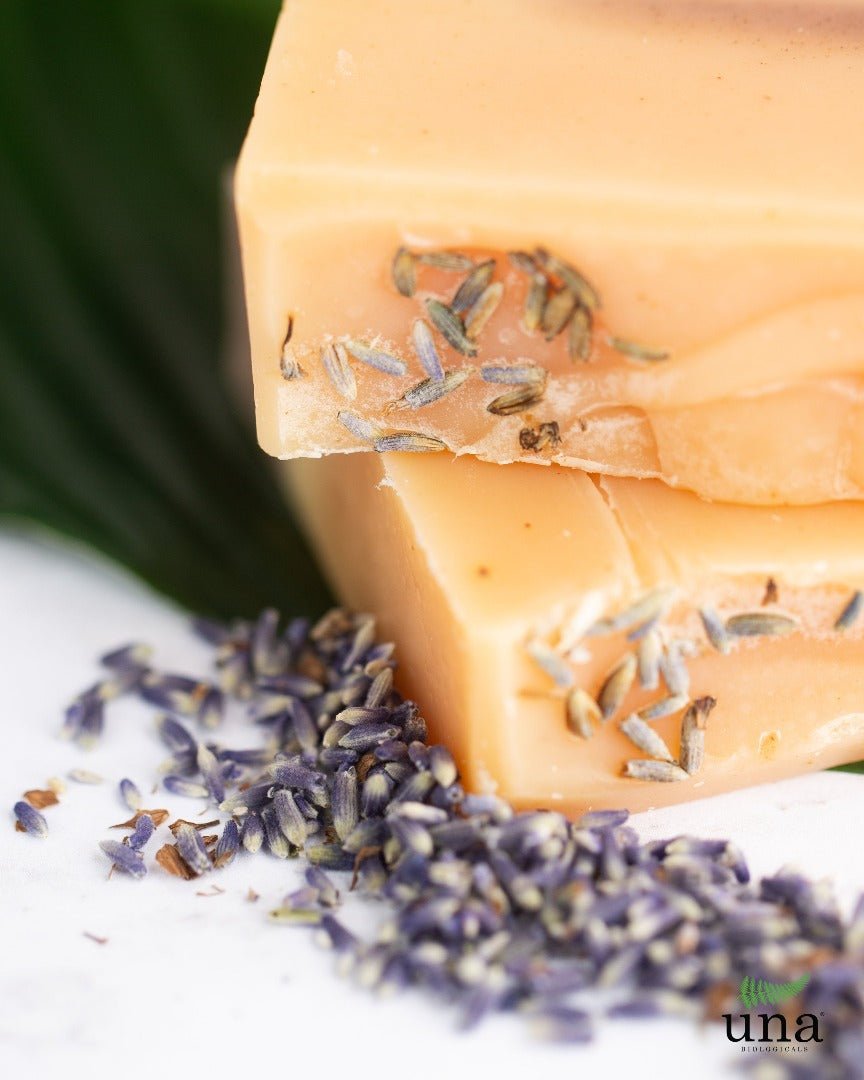 Una Biologicals® Lemongrass Lavender Soap | Natural Soap | Una Biologicals