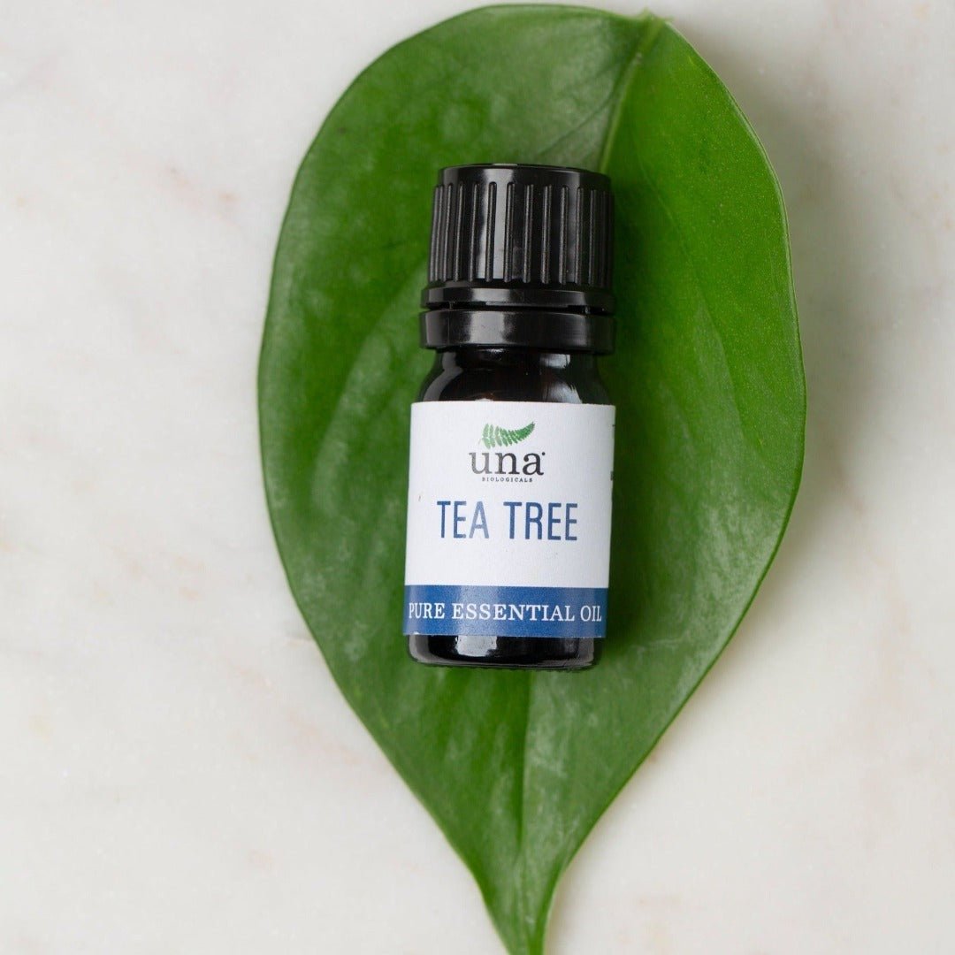 Una Biologicals® Tea Tree Essential Oil| Pure Essential Oil| Una Biologicals