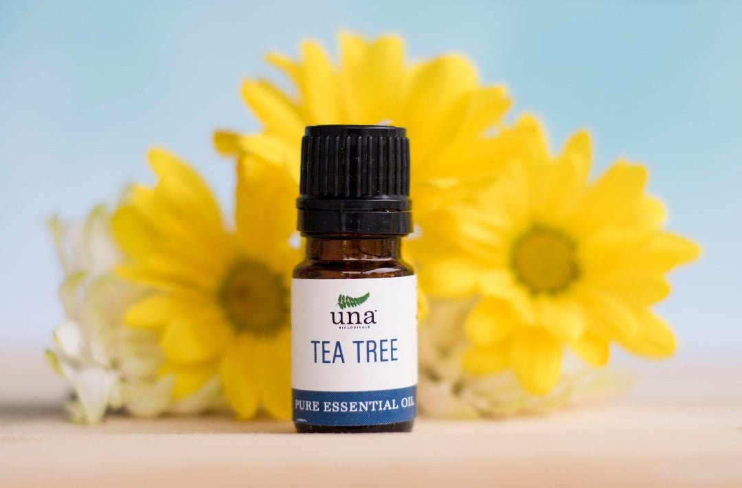 Una Biologicals® Tea Tree Essential Oil| Pure Essential Oil| Una Biologicals