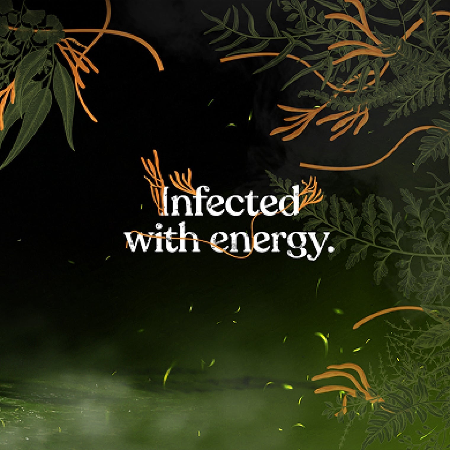 US Four Sigmatic HBO Original The Last Of Us - Organic High Caf Ground Coffee