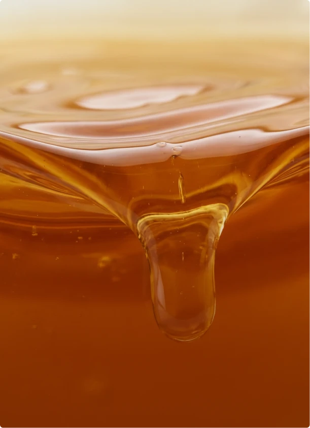 Raw honey dripping