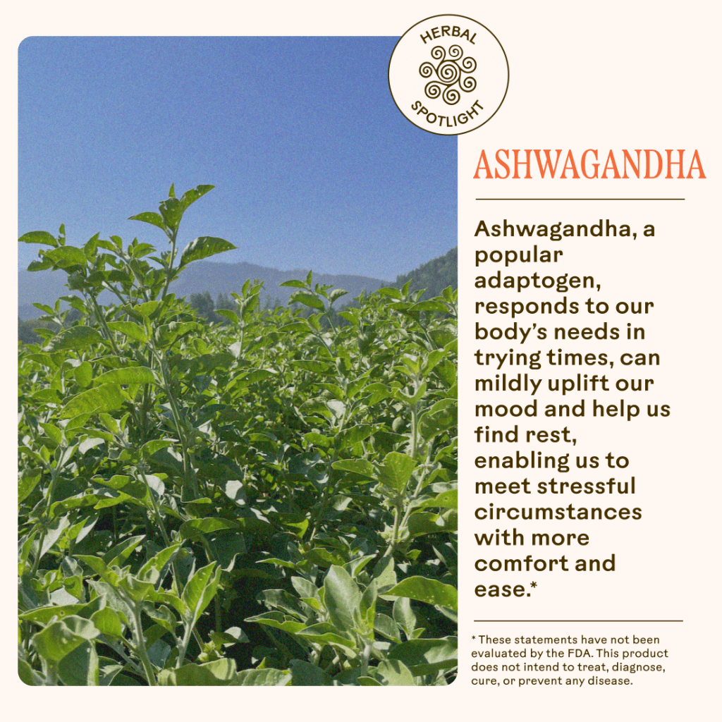 WOODEN SPOON HERBS Stress Savior