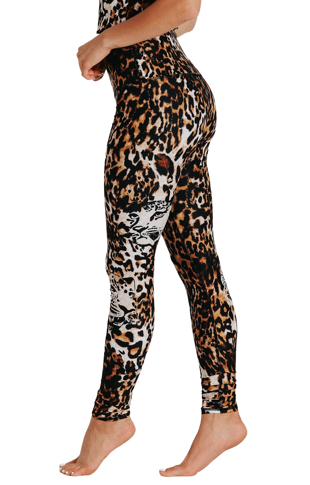 Yoga Democracy YD Legging - Wildcat