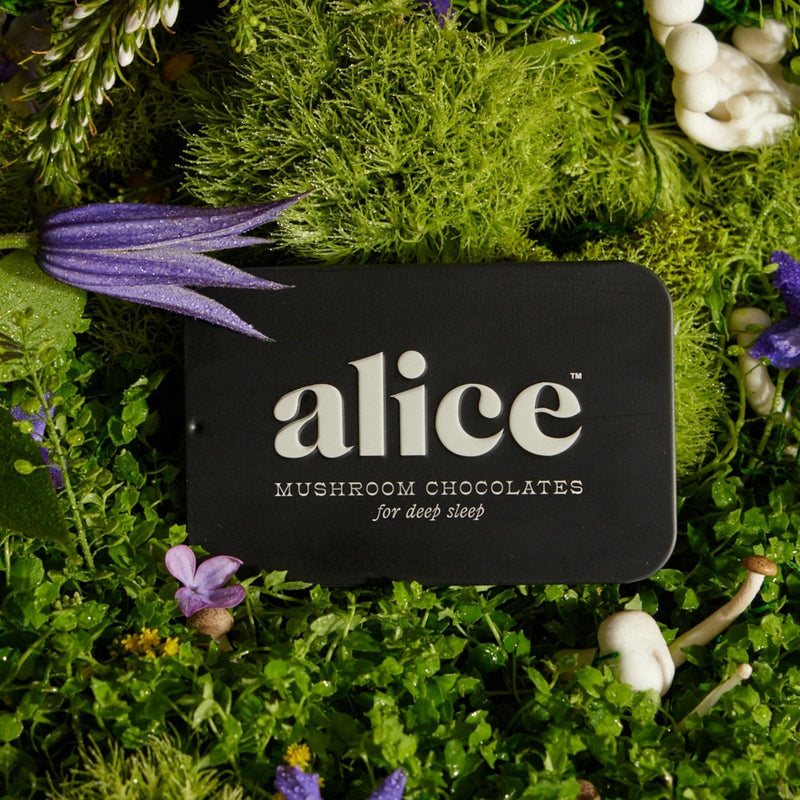 Alice Mushrooms Nightcap Functional Mushroom Chocolates for restorative sleep support