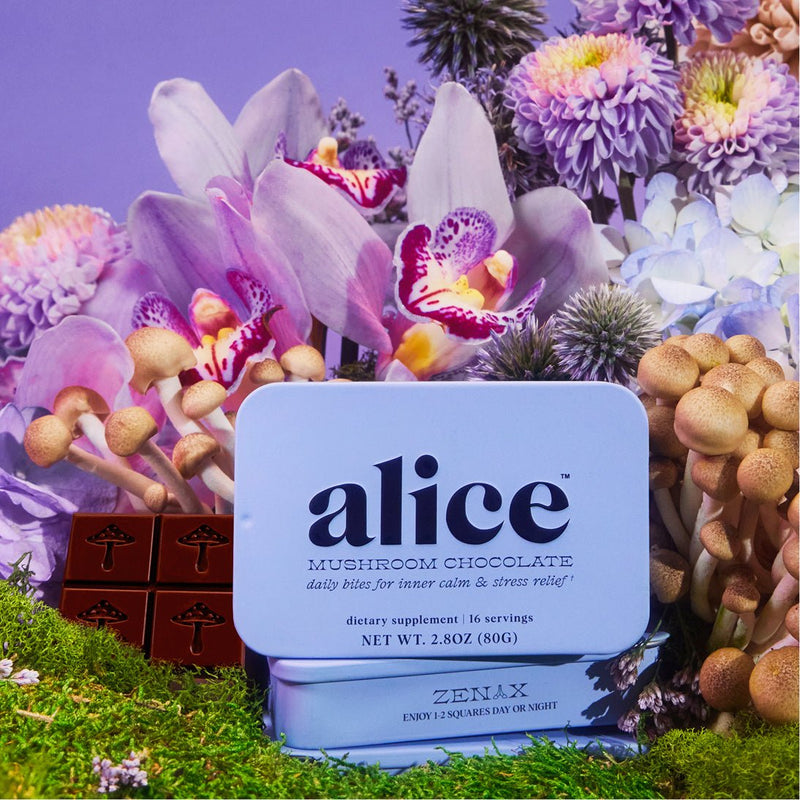 Alice Mushrooms Zen-X Functional Mushroom Chocolates for calm and stress resilience