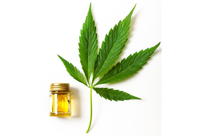 Skincare Therapy: Your Top Questions Answered By An Esthetician - M.S Skincare