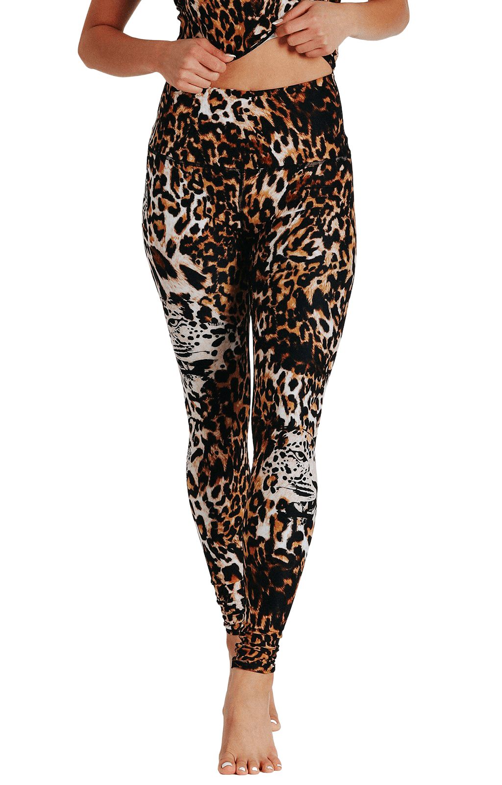 Yoga Democracy YD Legging - Wildcat