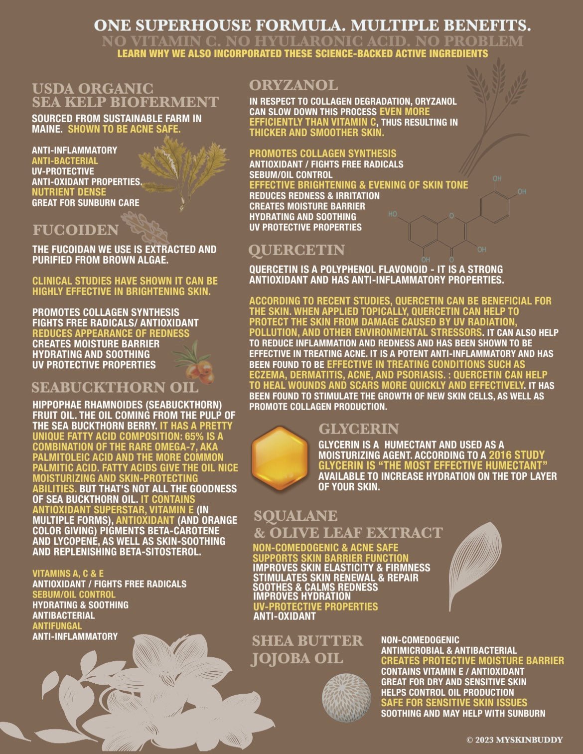 MYSKINBUDDY Bee Bright All Day Serum