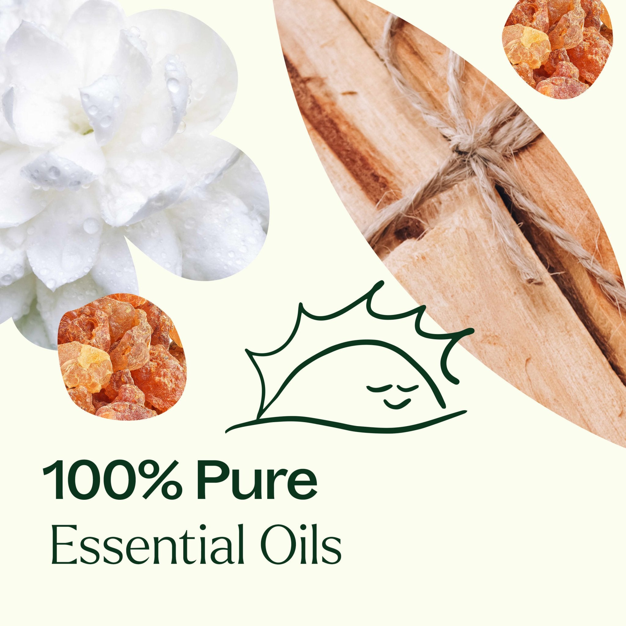 Plant Therapy Chakra Blends Essential Oil Roll - On Set