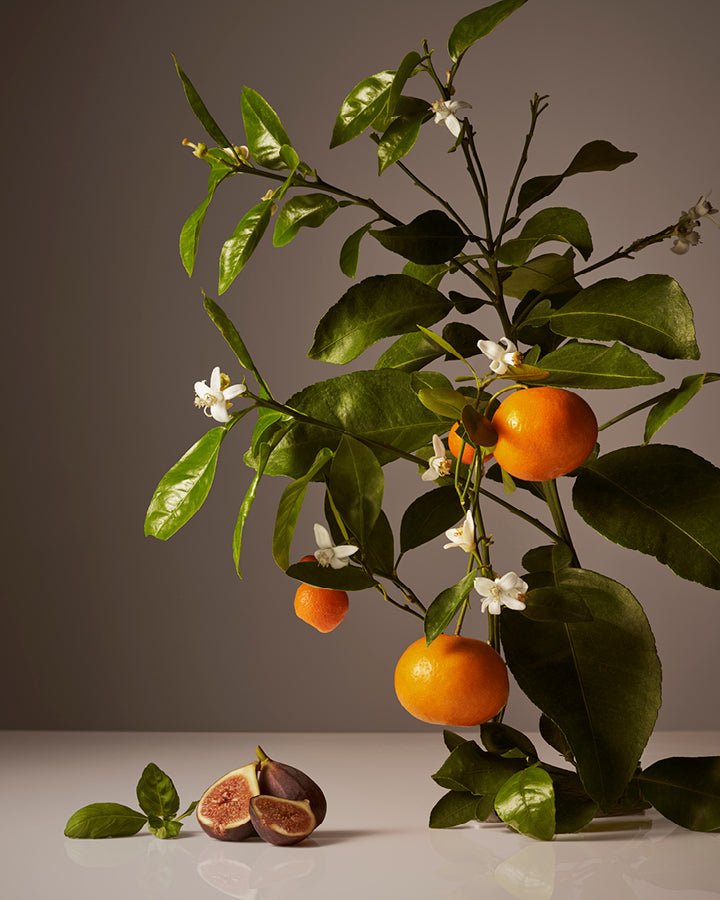 Homecourt Surface Cleaner