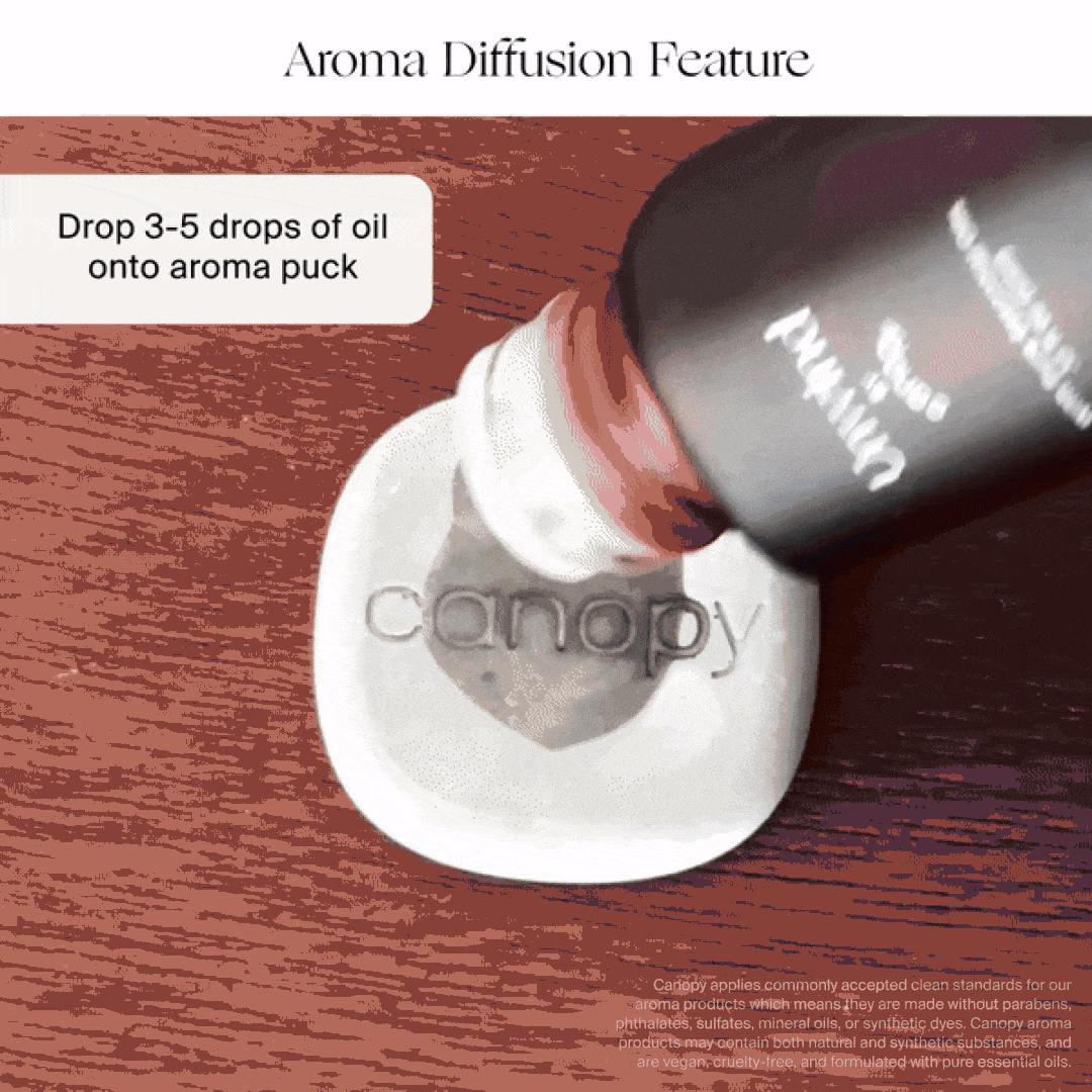 Humidificador portátil