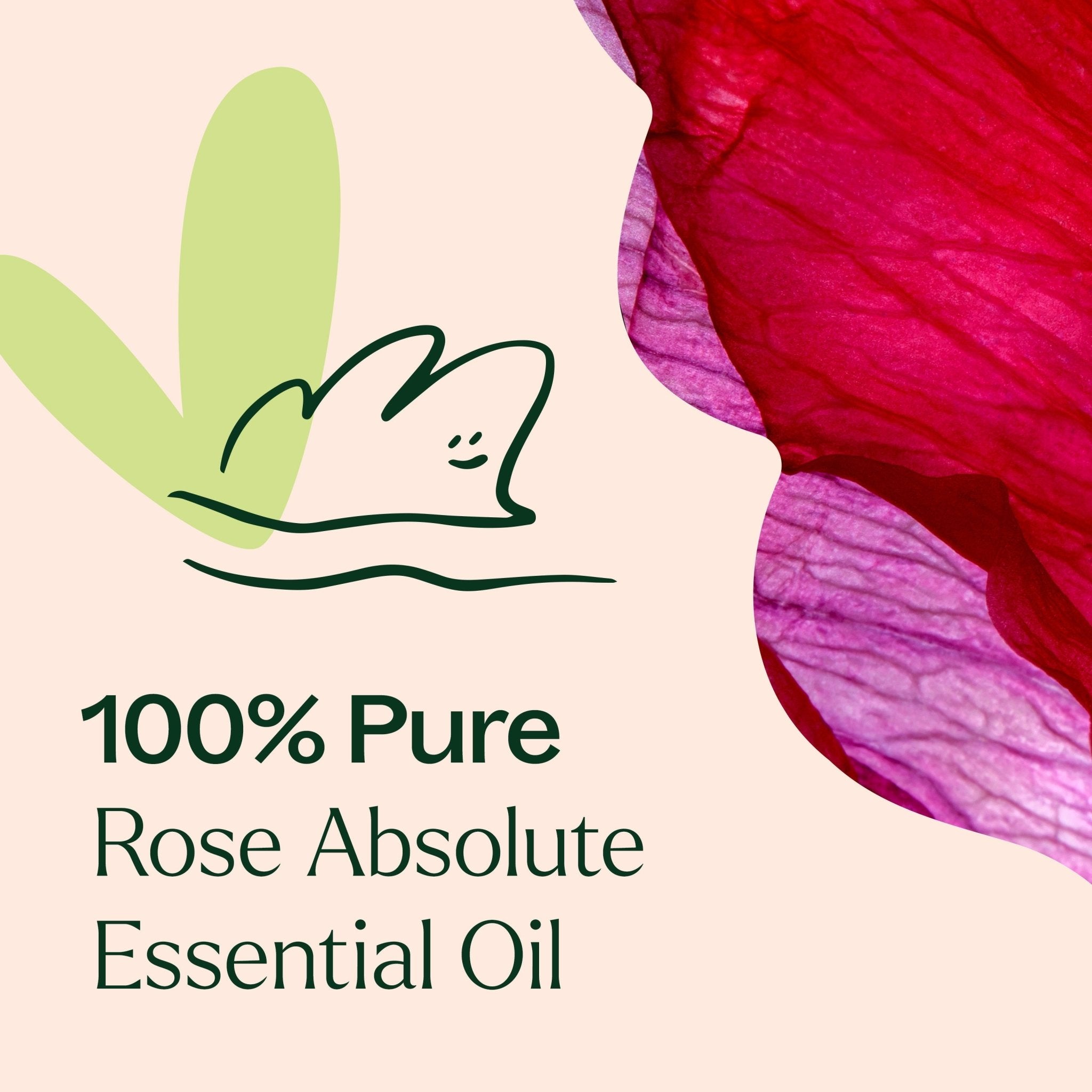 Plant Therapy Rose Absolute Essential Oil