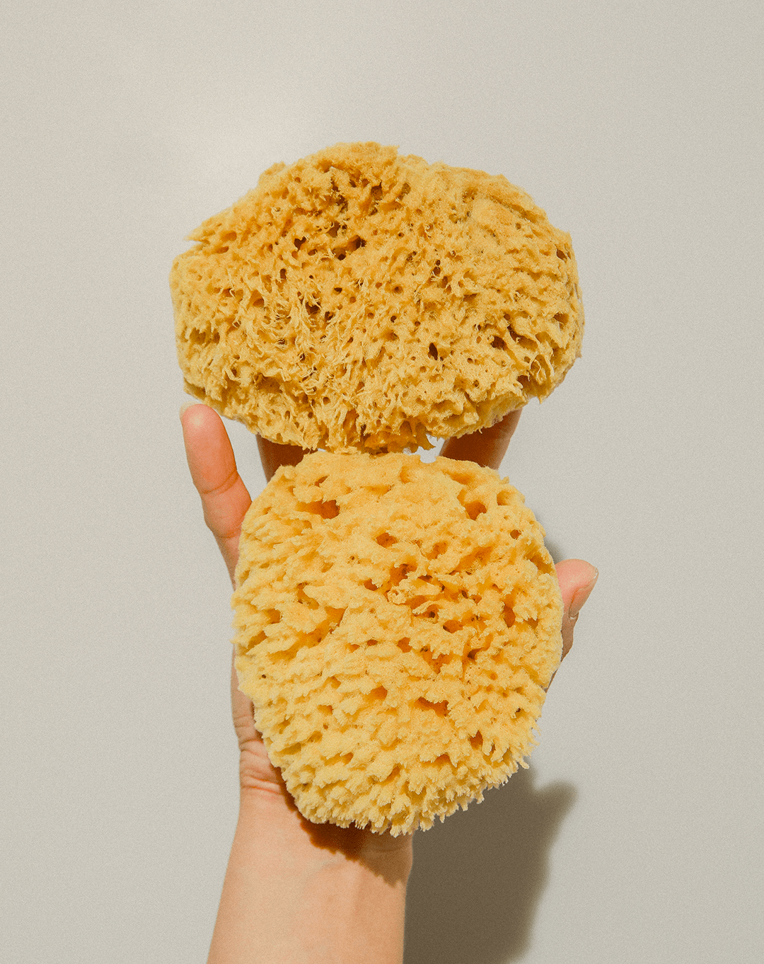 Bathing Culture Mineral Sea Sponge