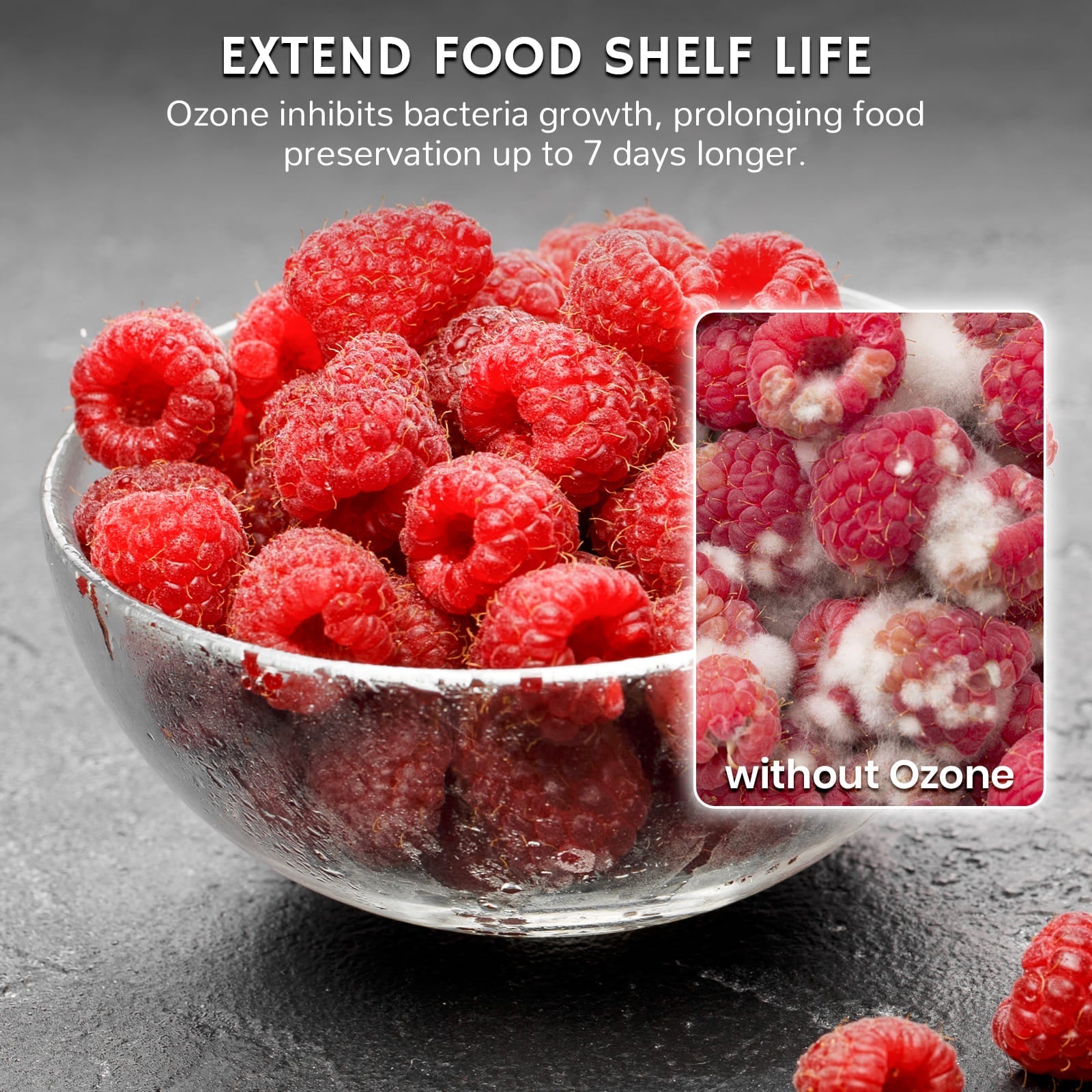 Airthereal PA300 - GO Portable Ozone Generator