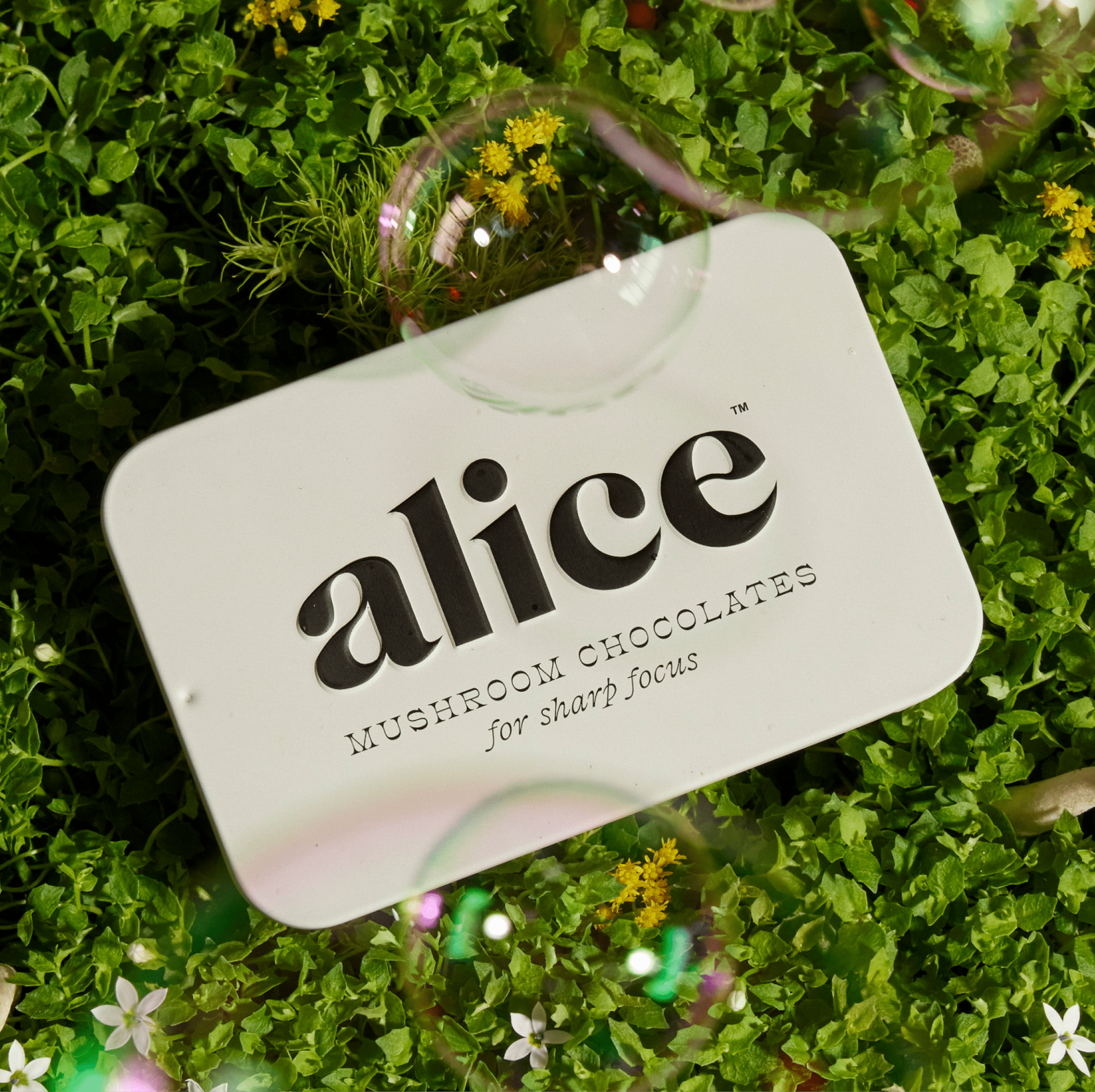 alice mushrooms Brainstorm Single Tin