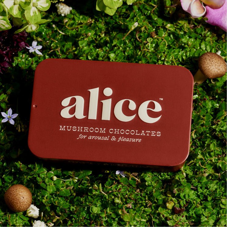 alice mushrooms Happy Ending Functional Mushroom Chocolates