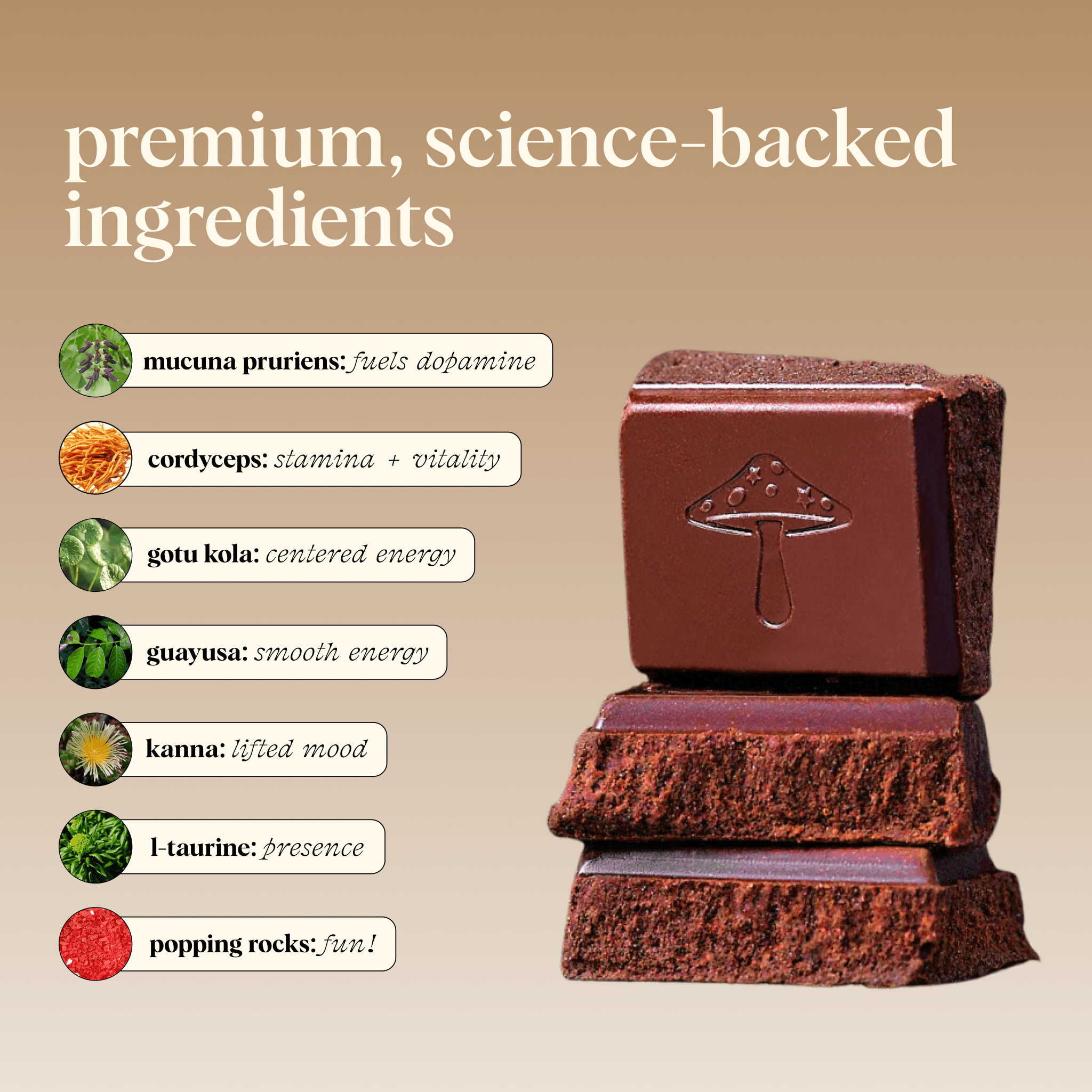 alice mushrooms Party Trick