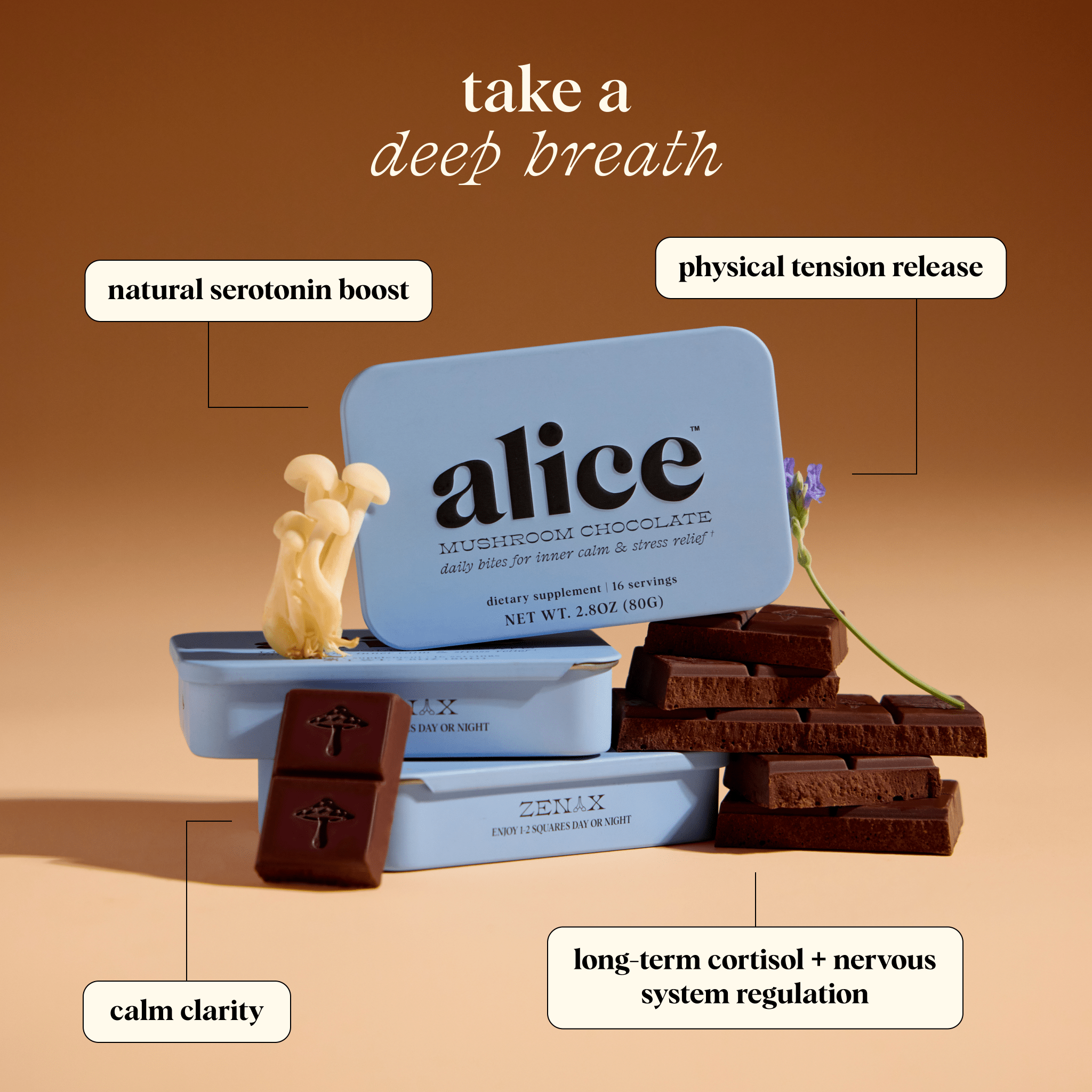 alice mushrooms Zen - X Functional Mushroom Chocolates