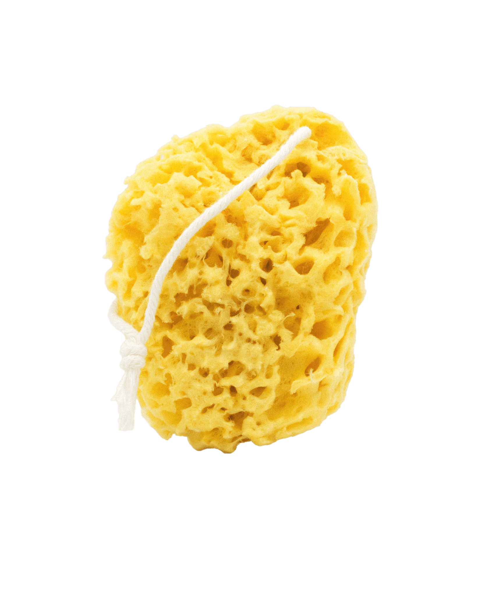 Bathing Culture Mineral Sea Sponge