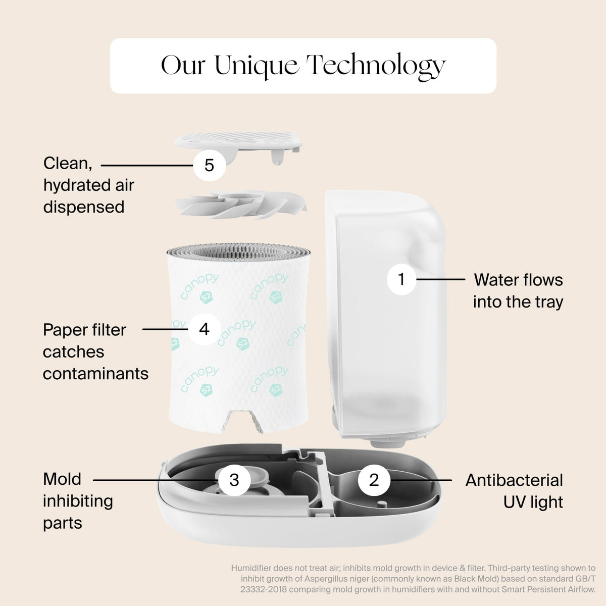 Canopy Bedside Humidifier 2.0