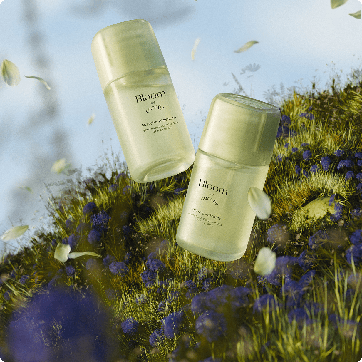 Canopy Bloom Aroma Kit