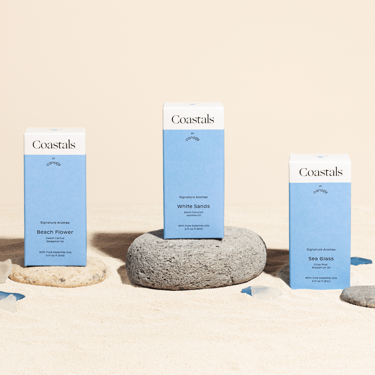 Canopy Sanctuary Aroma Kit