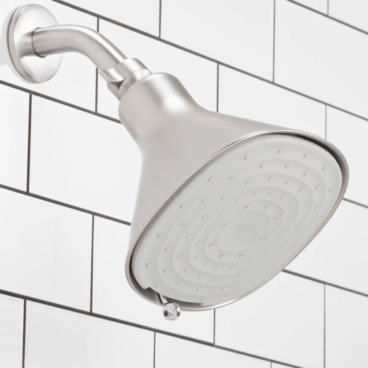 Canopy Filtered Showerhead