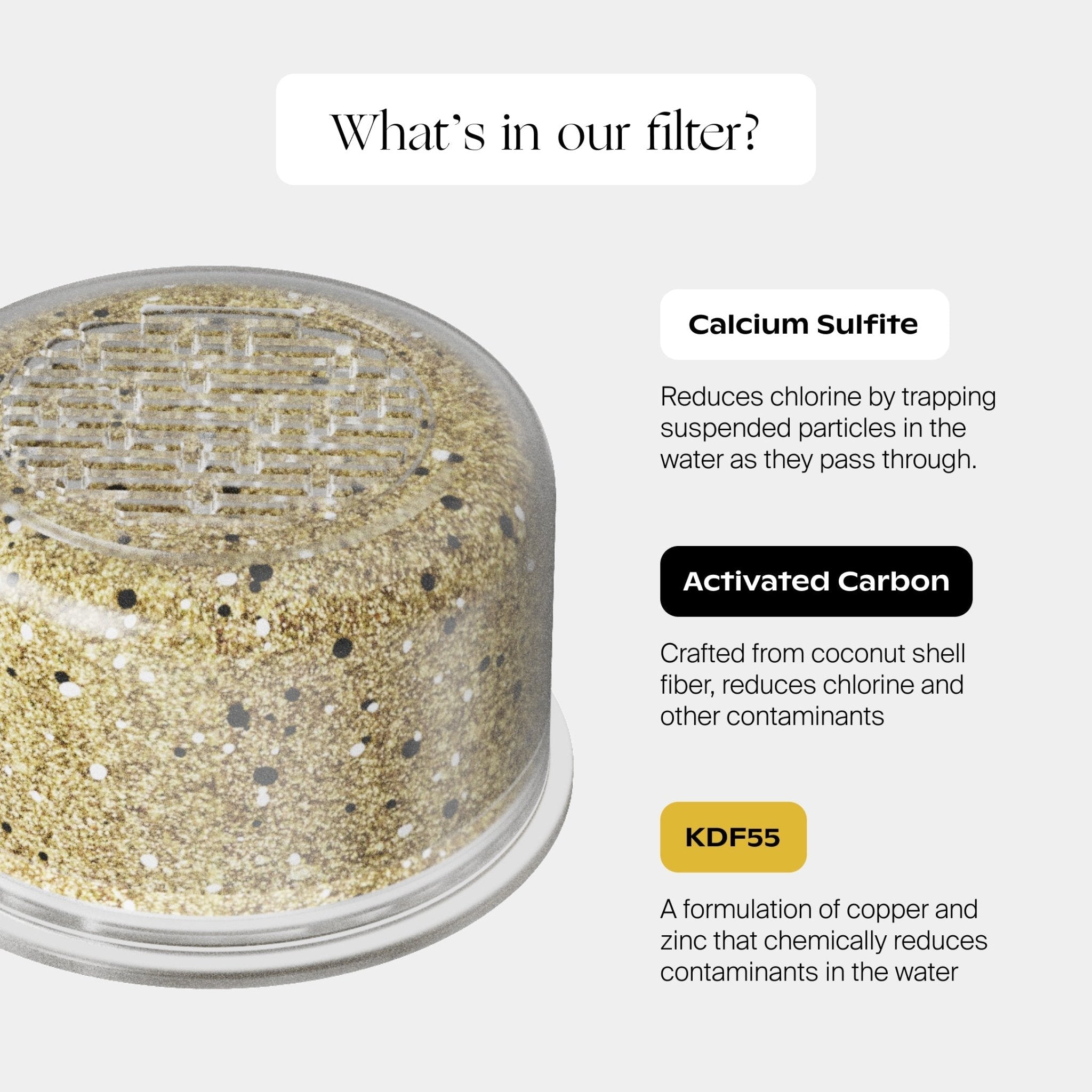 Canopy Handheld Filtered Showerhead