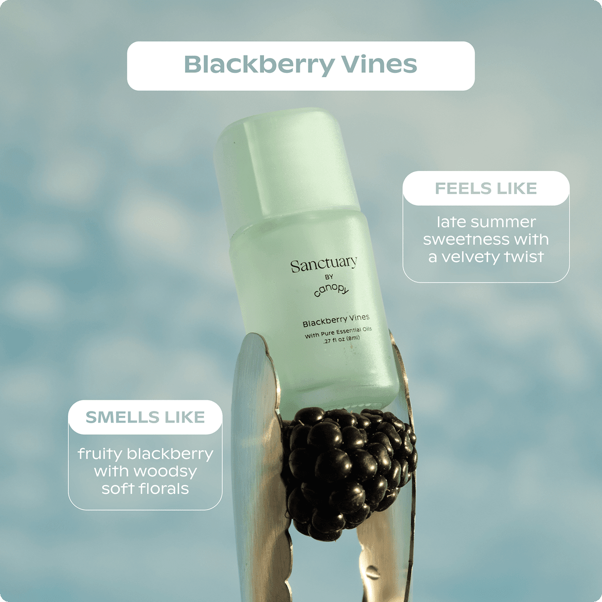 Canopy Sanctuary Aroma Kit