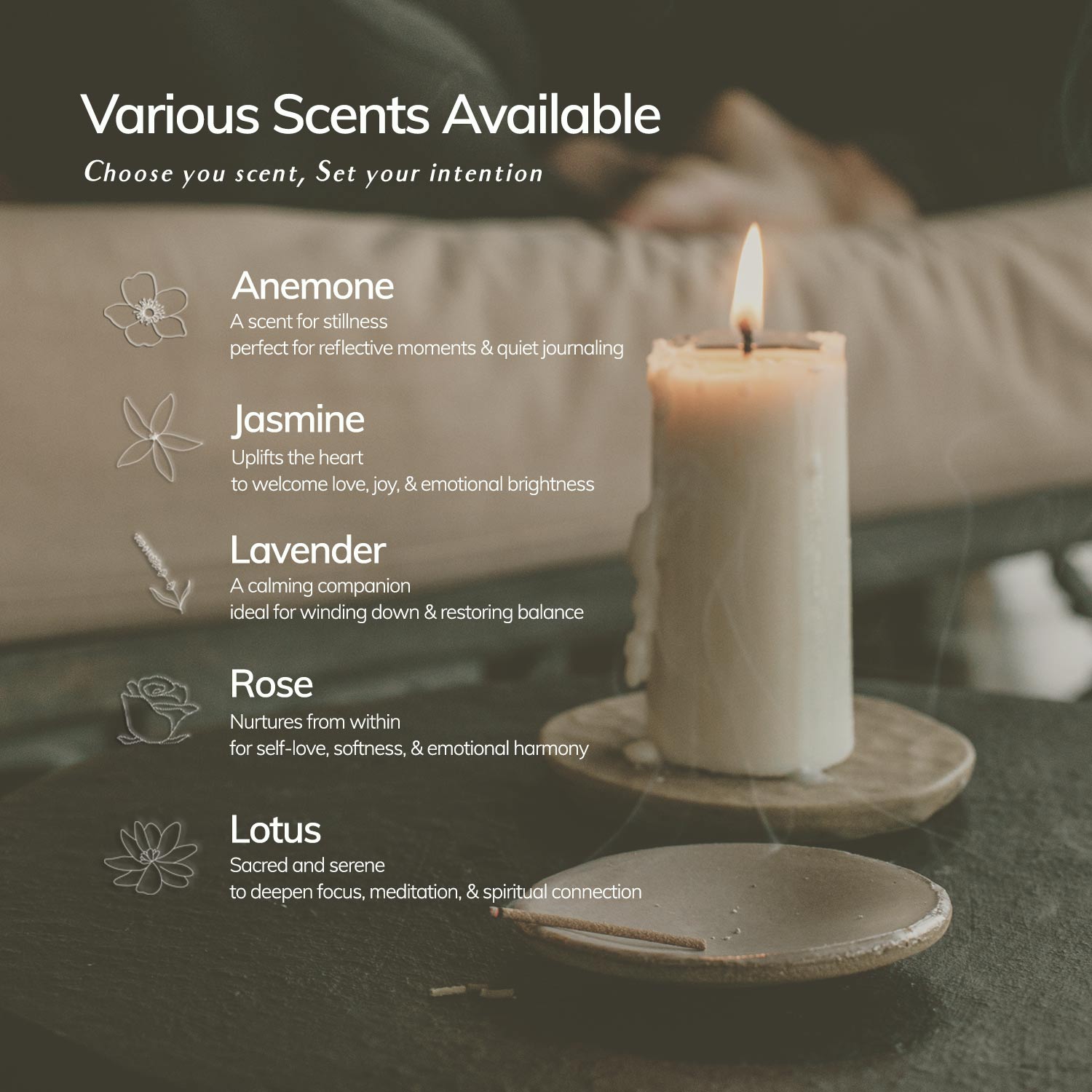 CEDAR AND MYRRH Jasmine Japanese Incense Set | 30 sticks