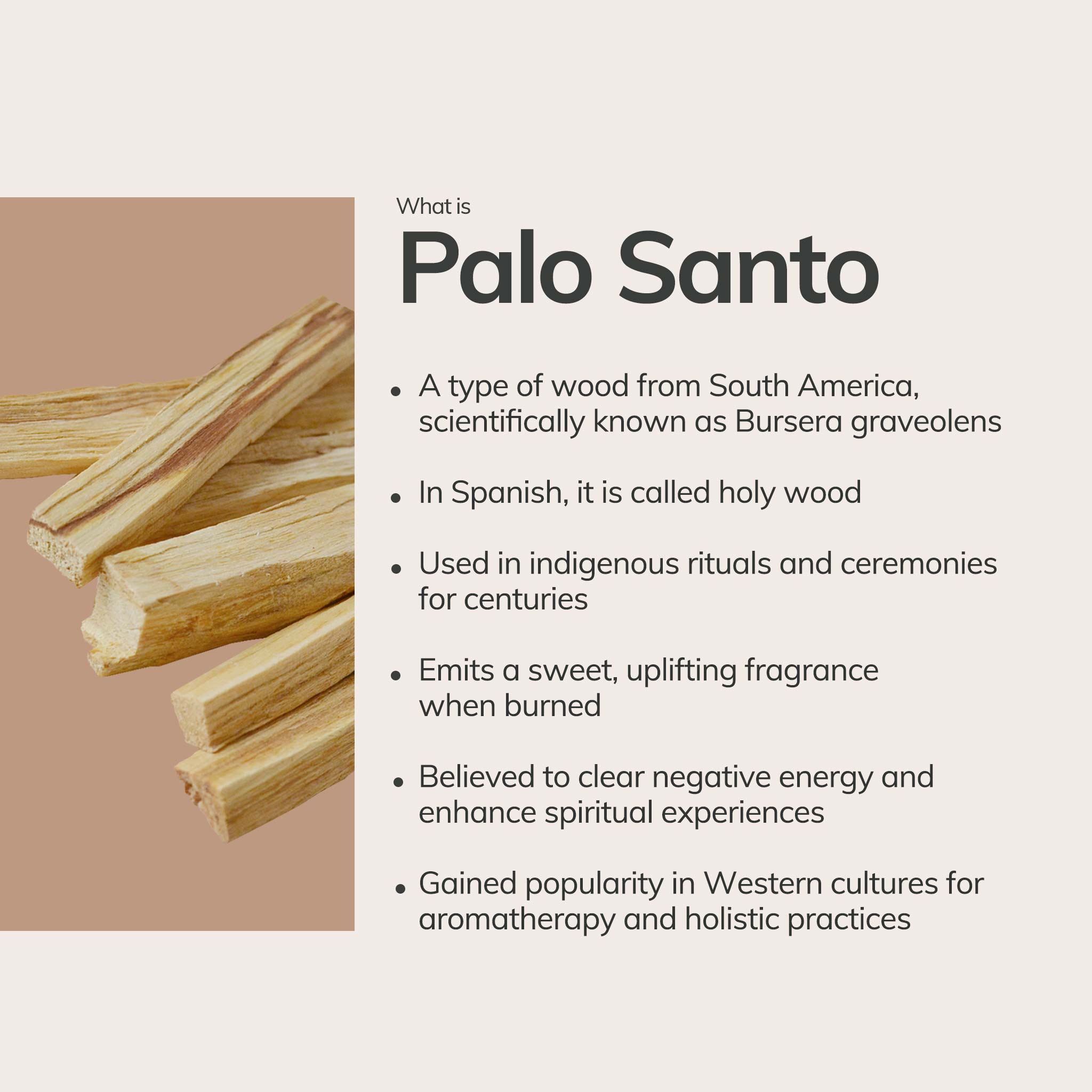 CEDAR AND MYRRH Palo Santo Incense Sticks – Hand - Rolled in Peru (7 Sticks)