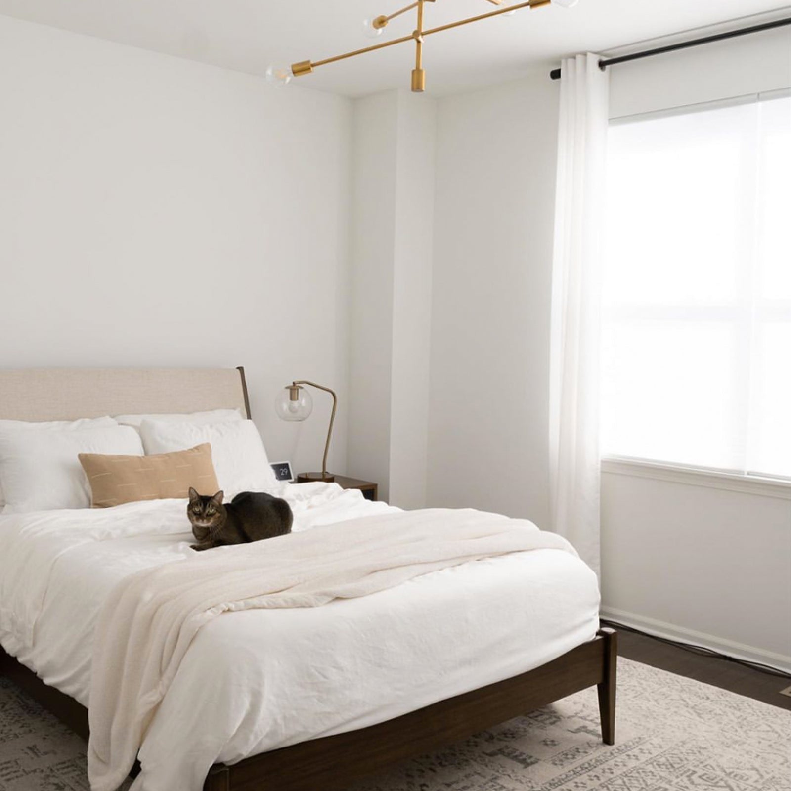 Cozy Earth Bamboo Duvet Cover - Last Chance