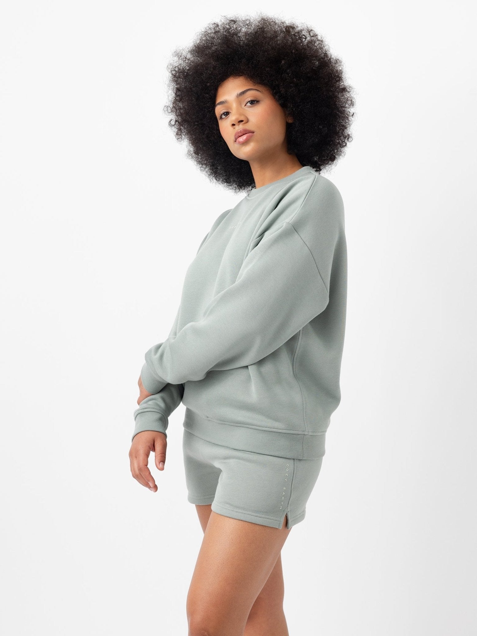 Cozy Earth Women's CityScape Shorts