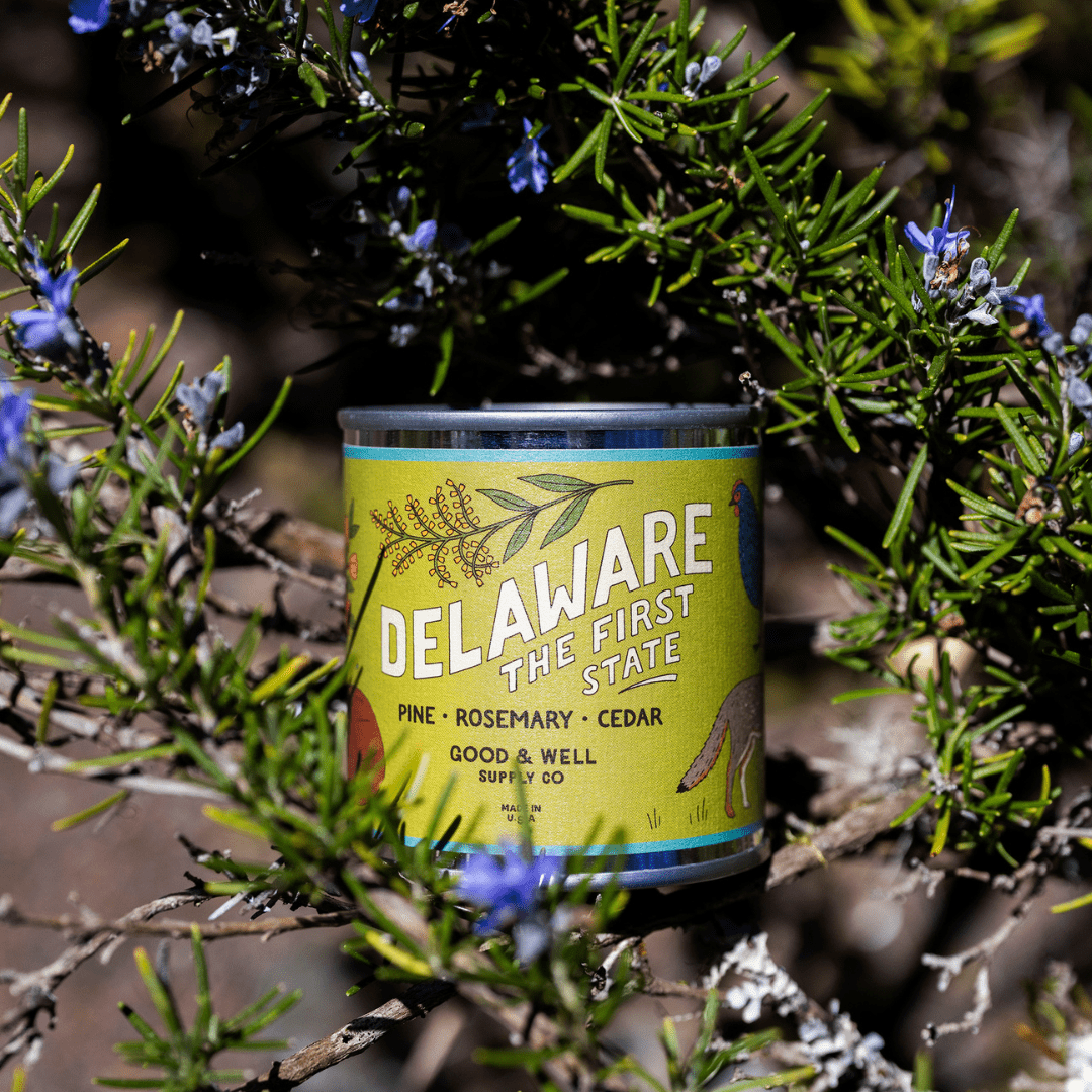Good & Well Supply Co Delaware State Candle