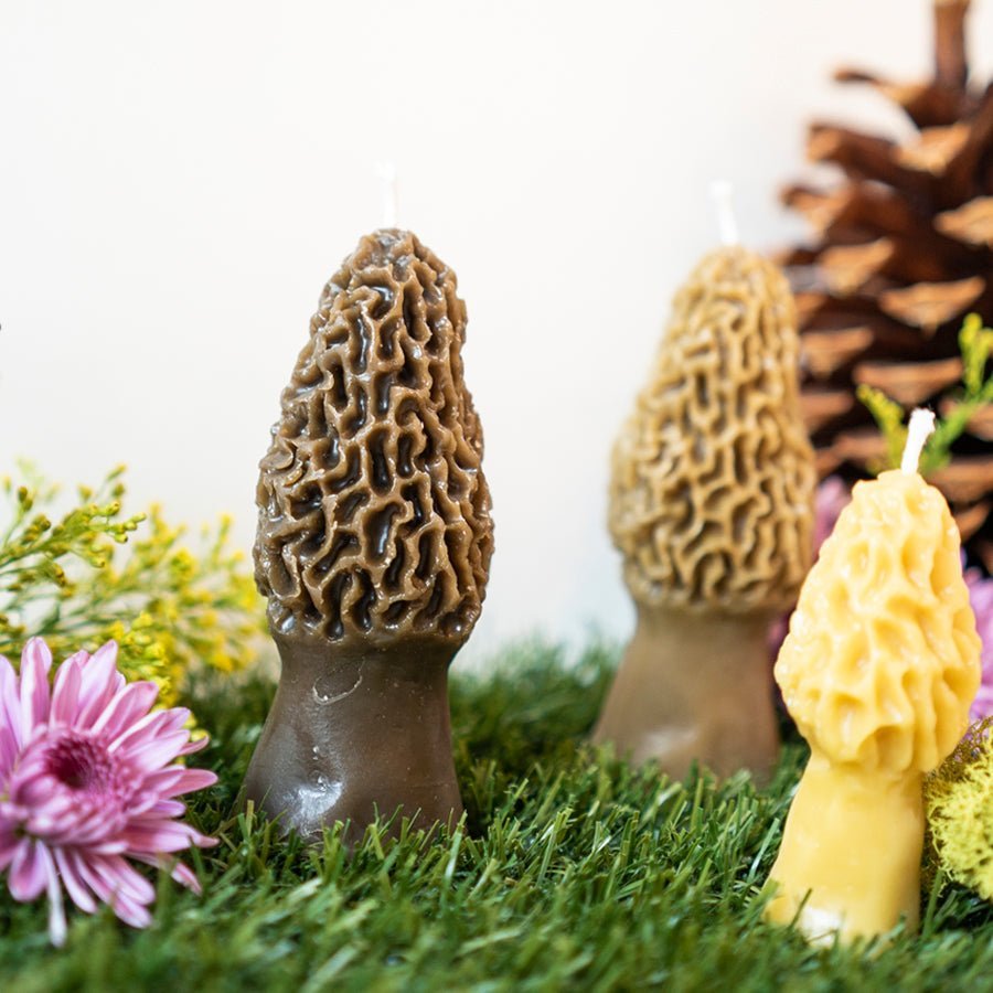 Happy Organics Morel Mushroom Beeswax Candle