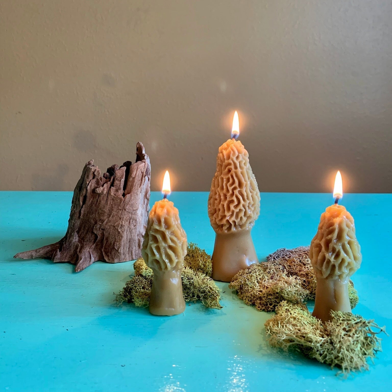 Happy Organics Morel Mushroom Beeswax Candle
