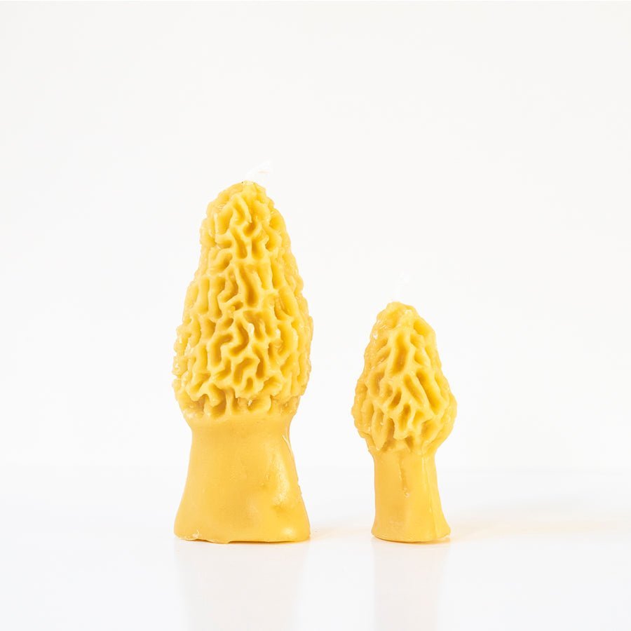 Happy Organics Morel Mushroom Beeswax Candle