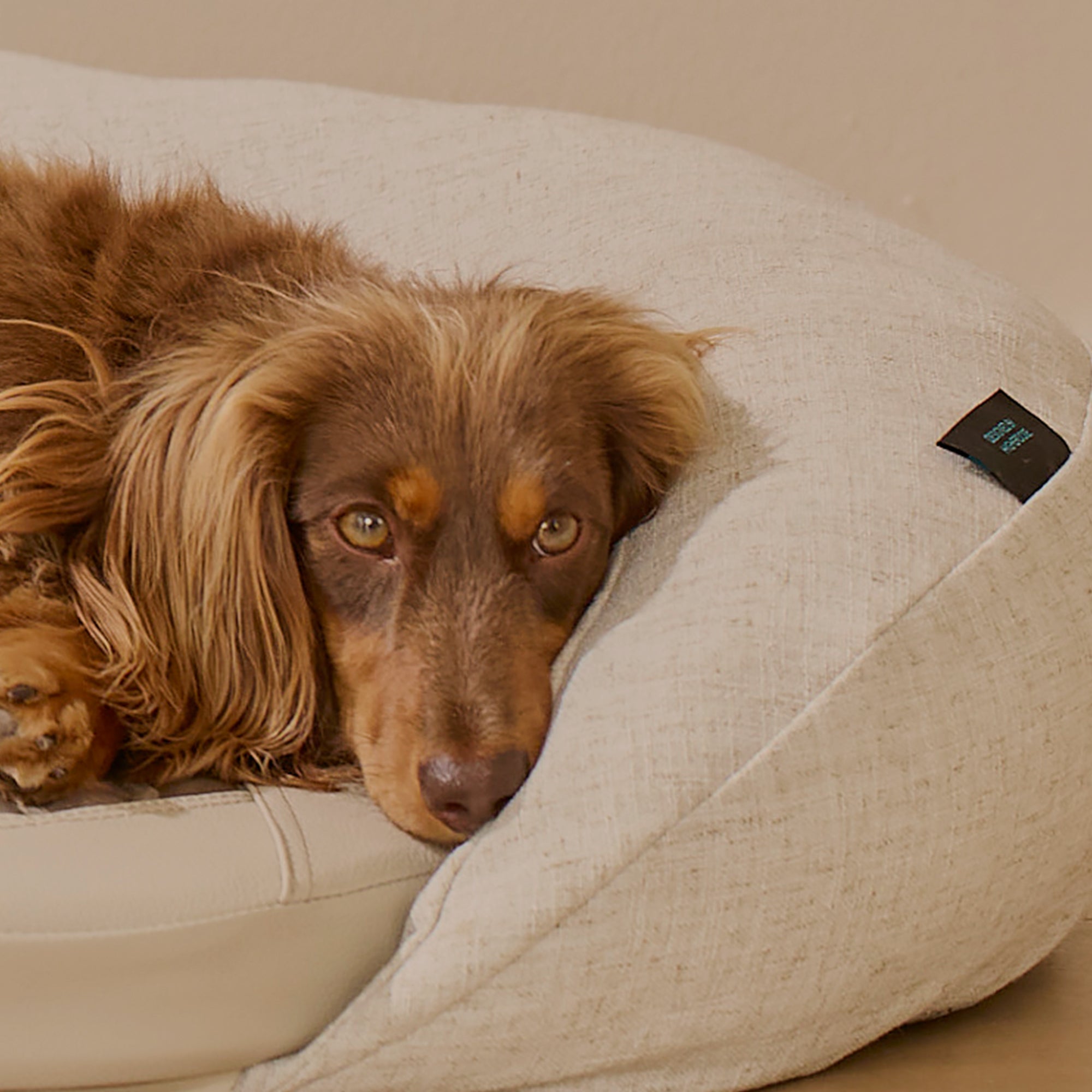 HigherDOSE Infrared PEMF Pet Bed